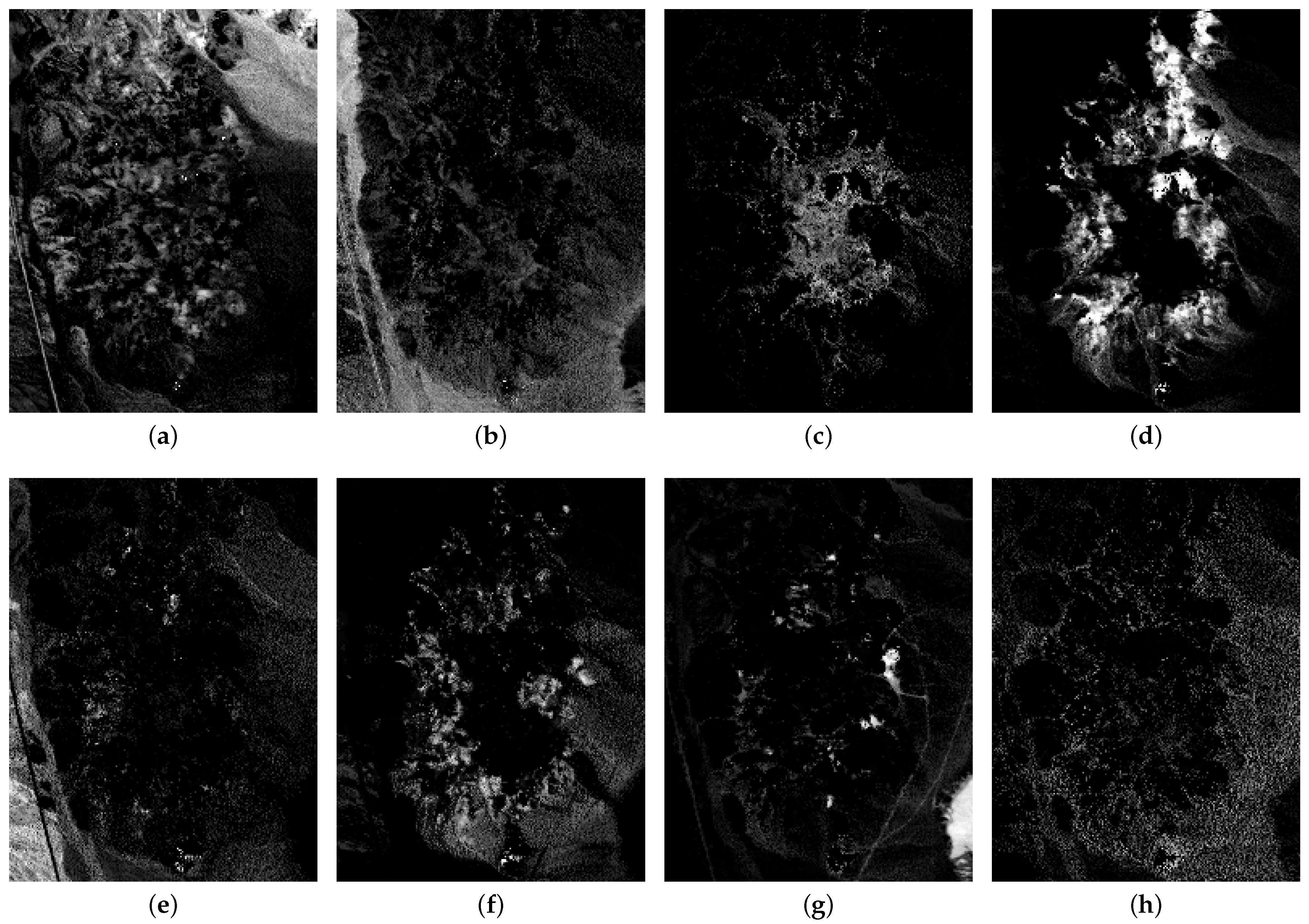 Remotesensing 15 02900 g009a