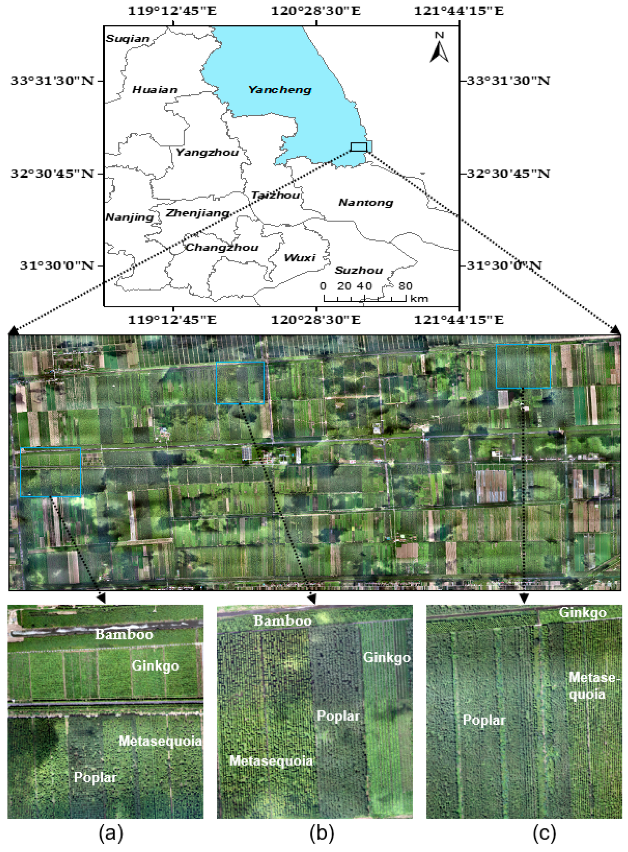 Remotesensing 15 02942 g001