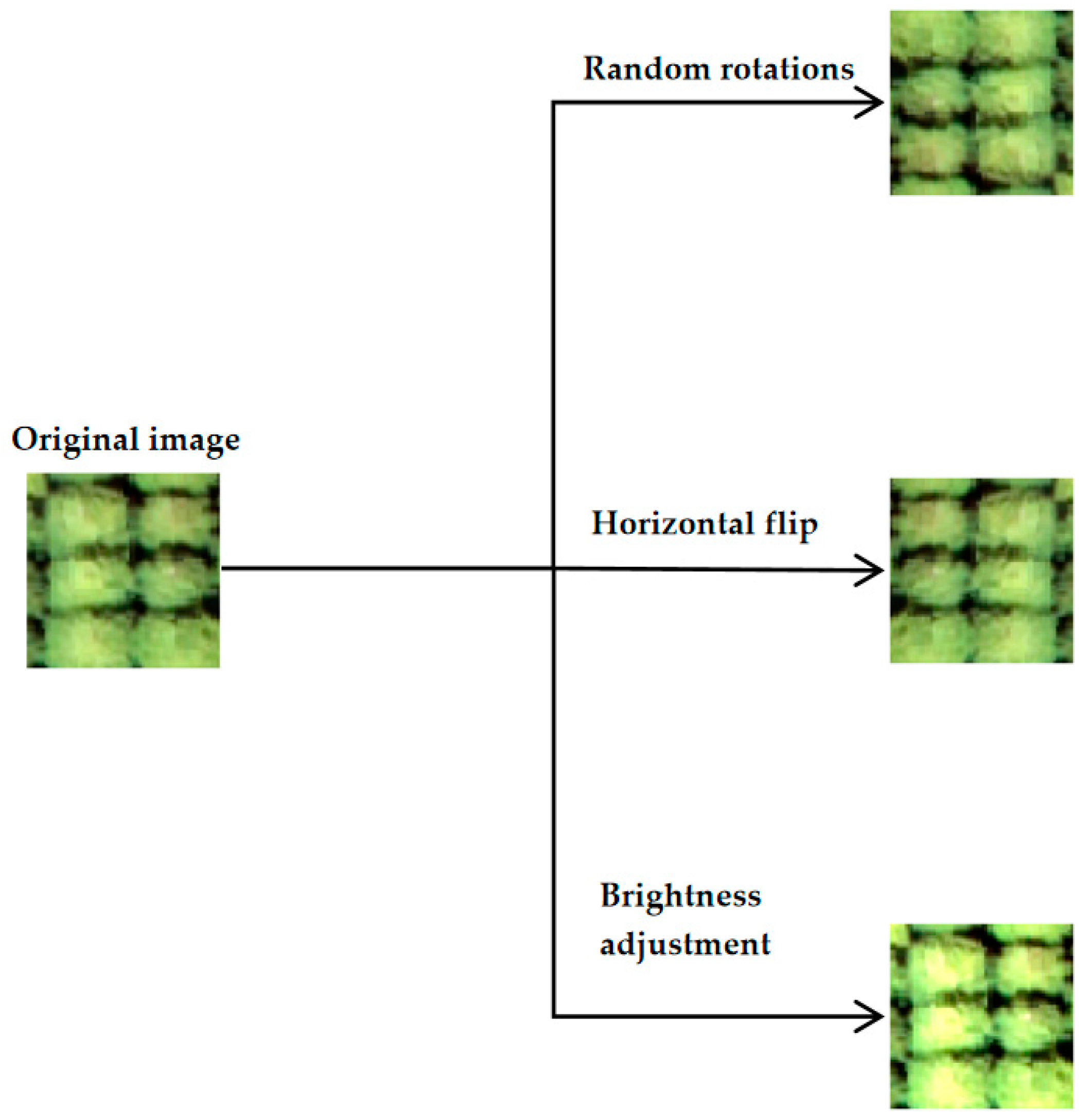 Remotesensing 15 02942 g003