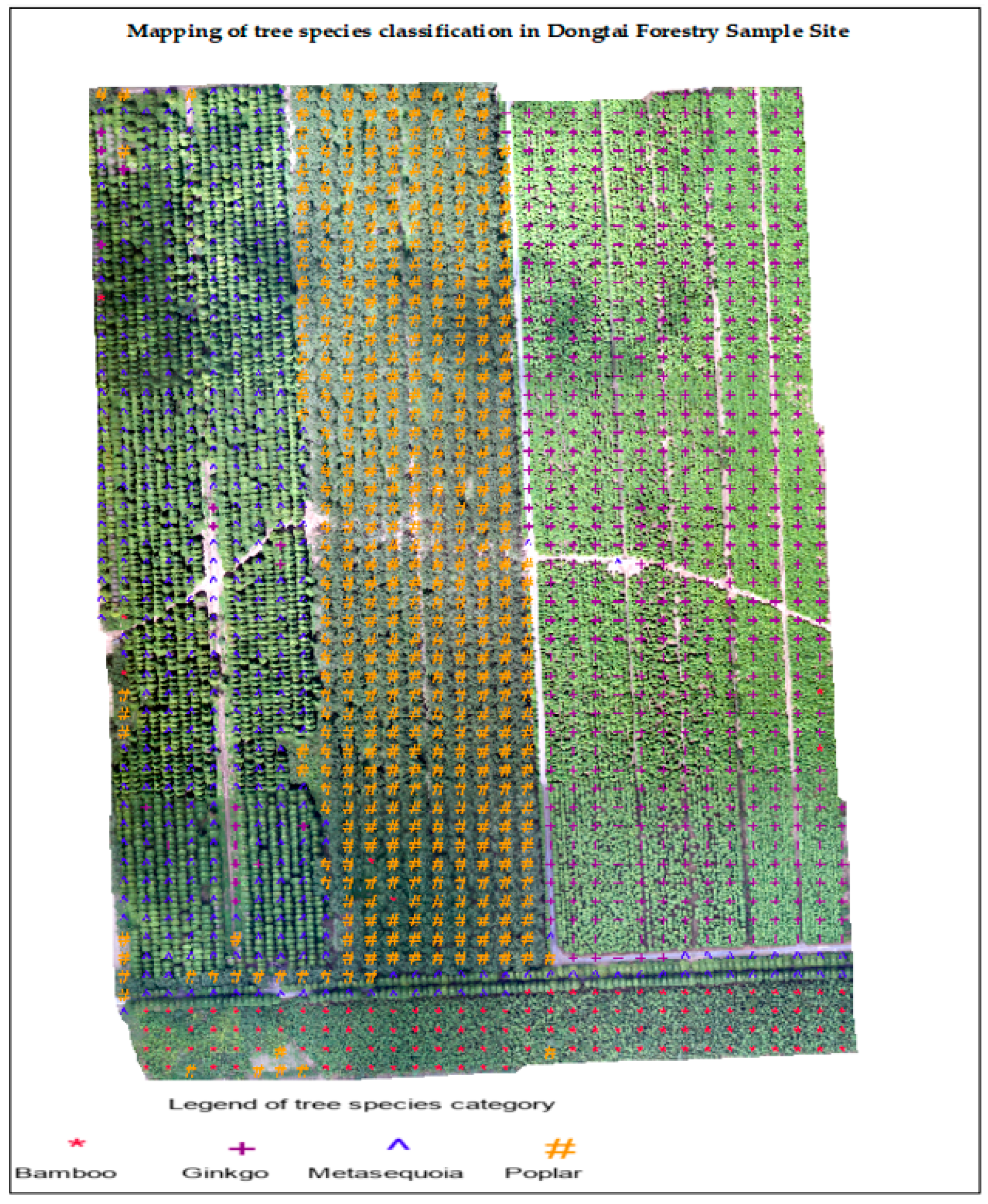 Remotesensing 15 02942 g017