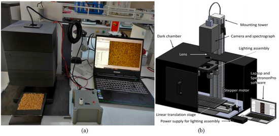 GD Progress in the Application of CNN-Based Image