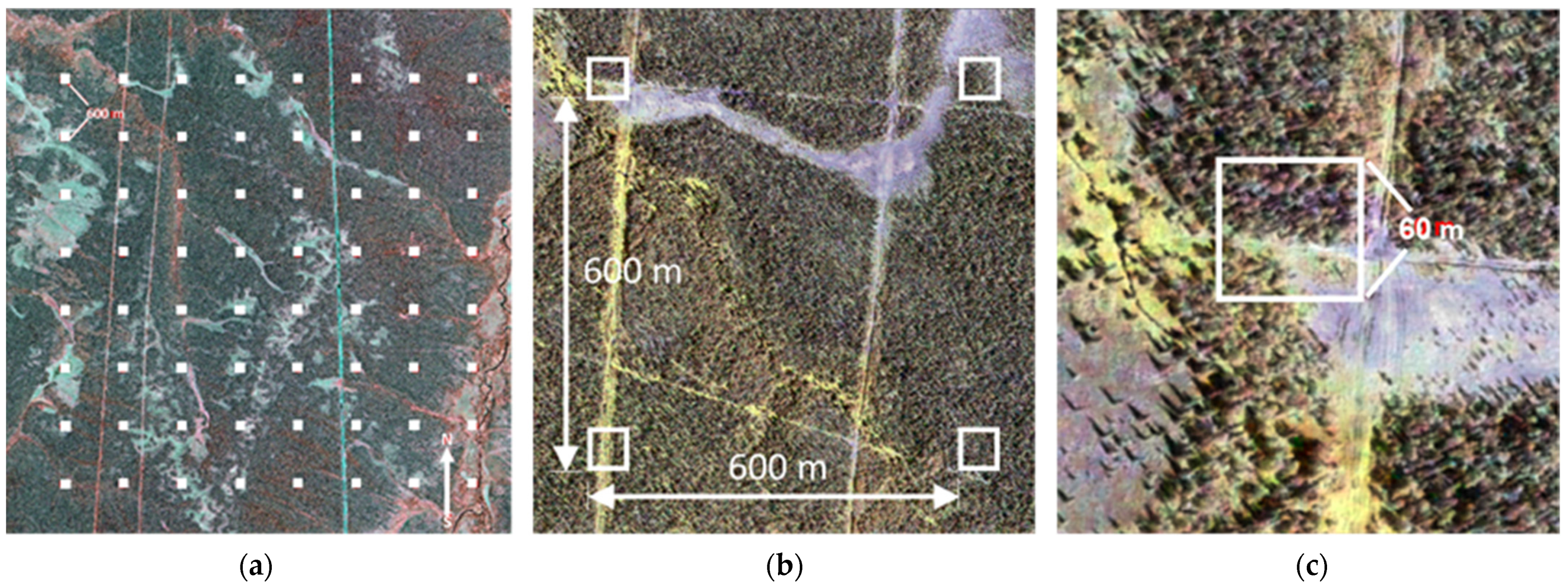 Remotesensing 15 03029 g003 Remotesensing 15 03029 g003