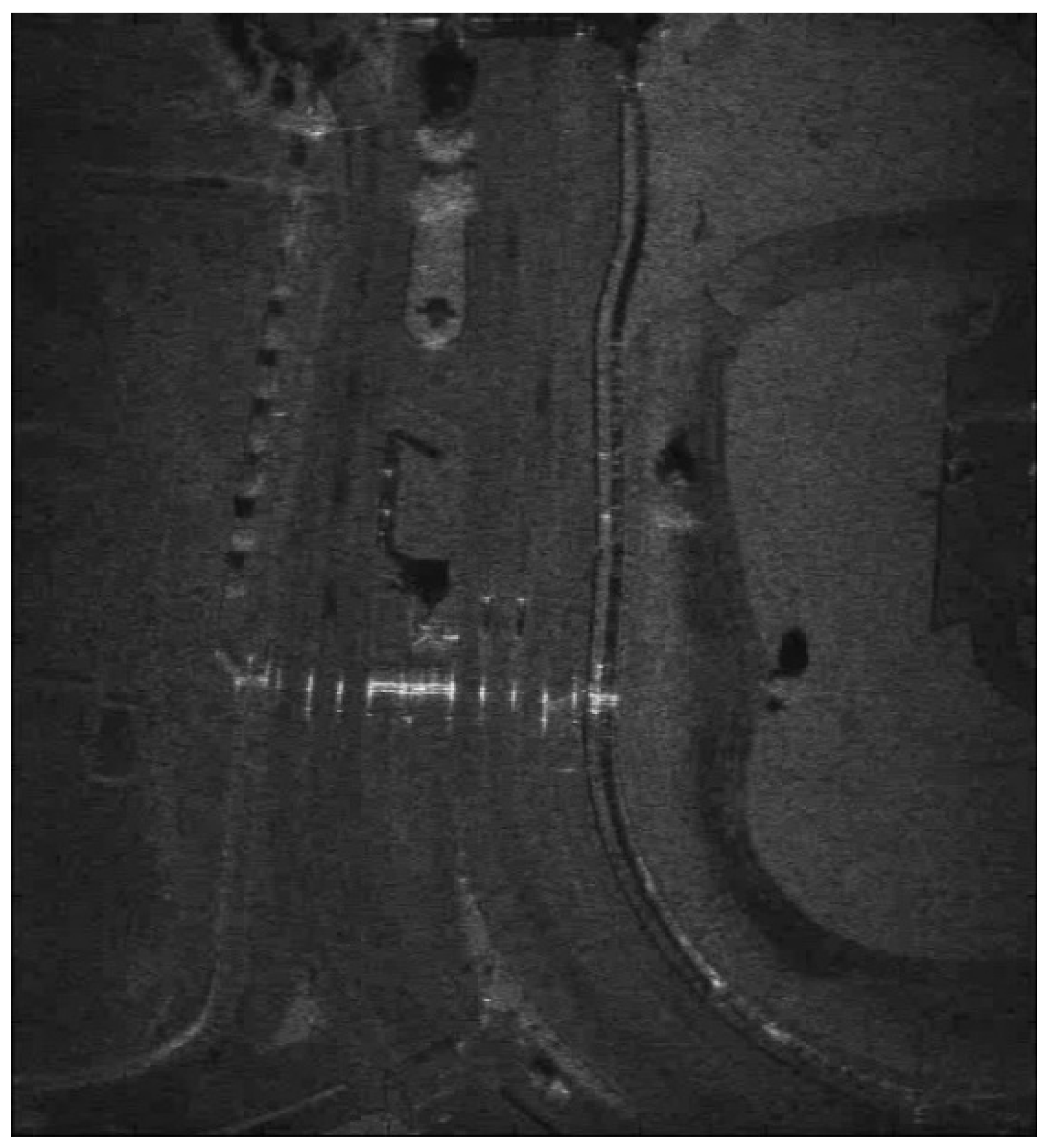 Remotesensing 15 03036 g009