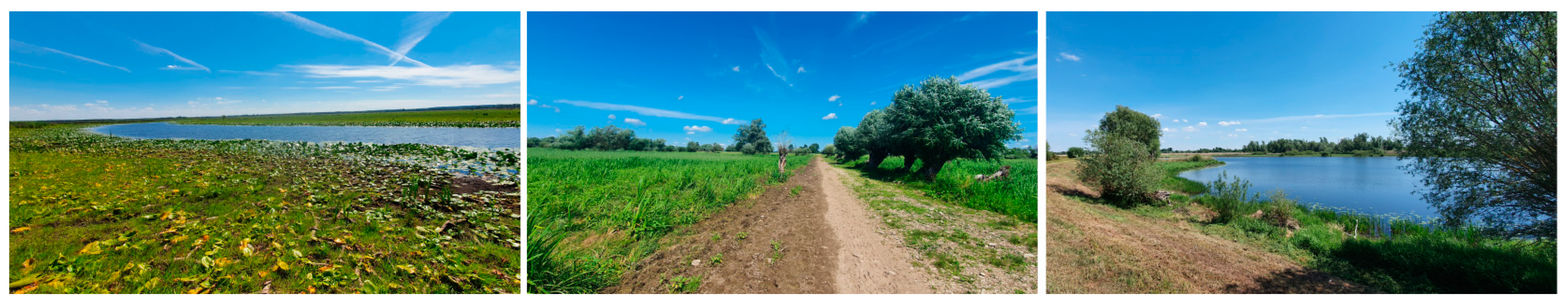 Remotesensing 15 03055 g002 Remotesensing 15 03055 g002