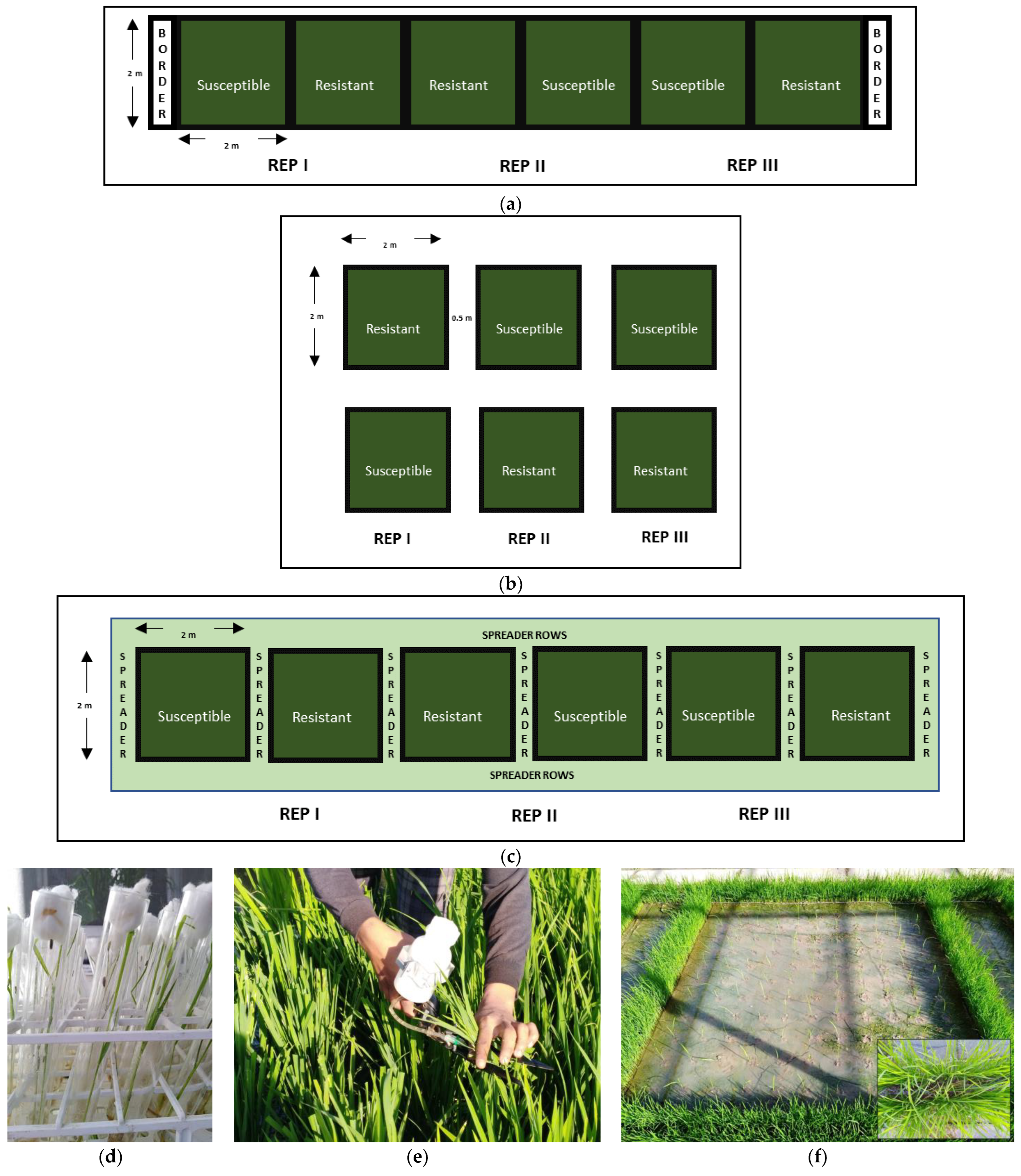 Remotesensing 15 03058 g001