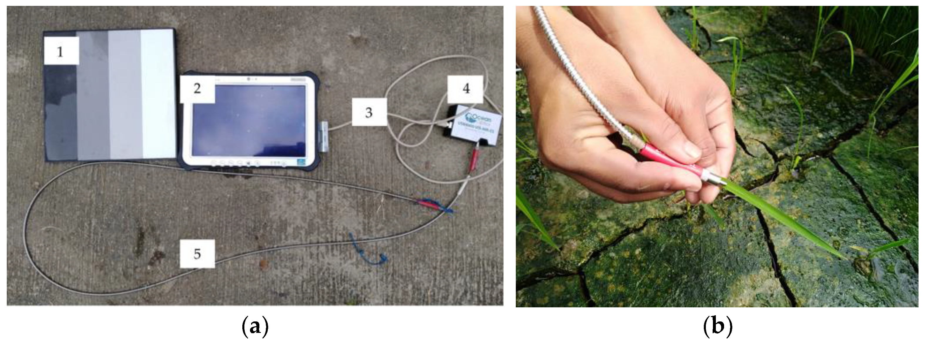 Remotesensing 15 03058 g002