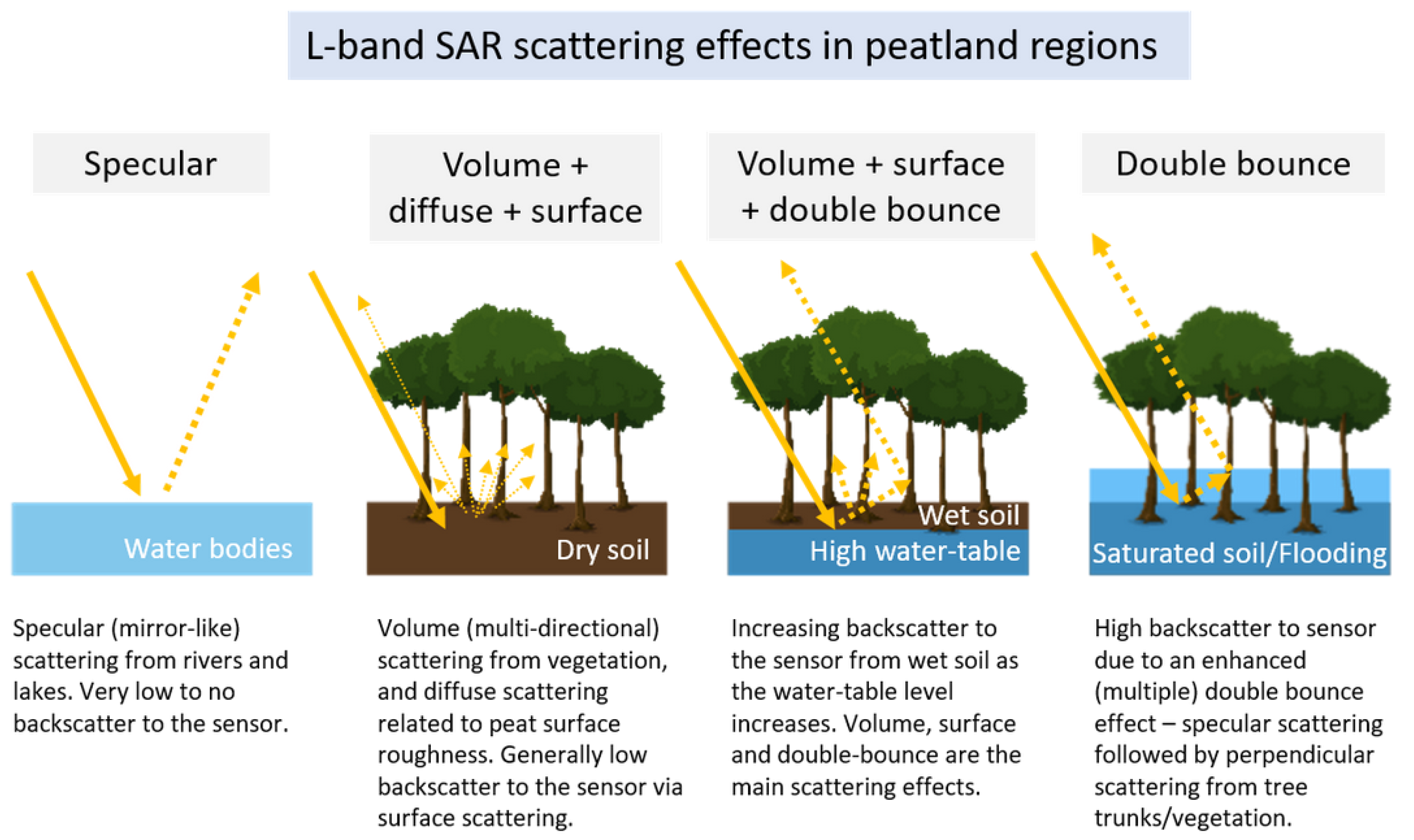 Remote Sensing Free FullText Mapping Water Levels across a Region