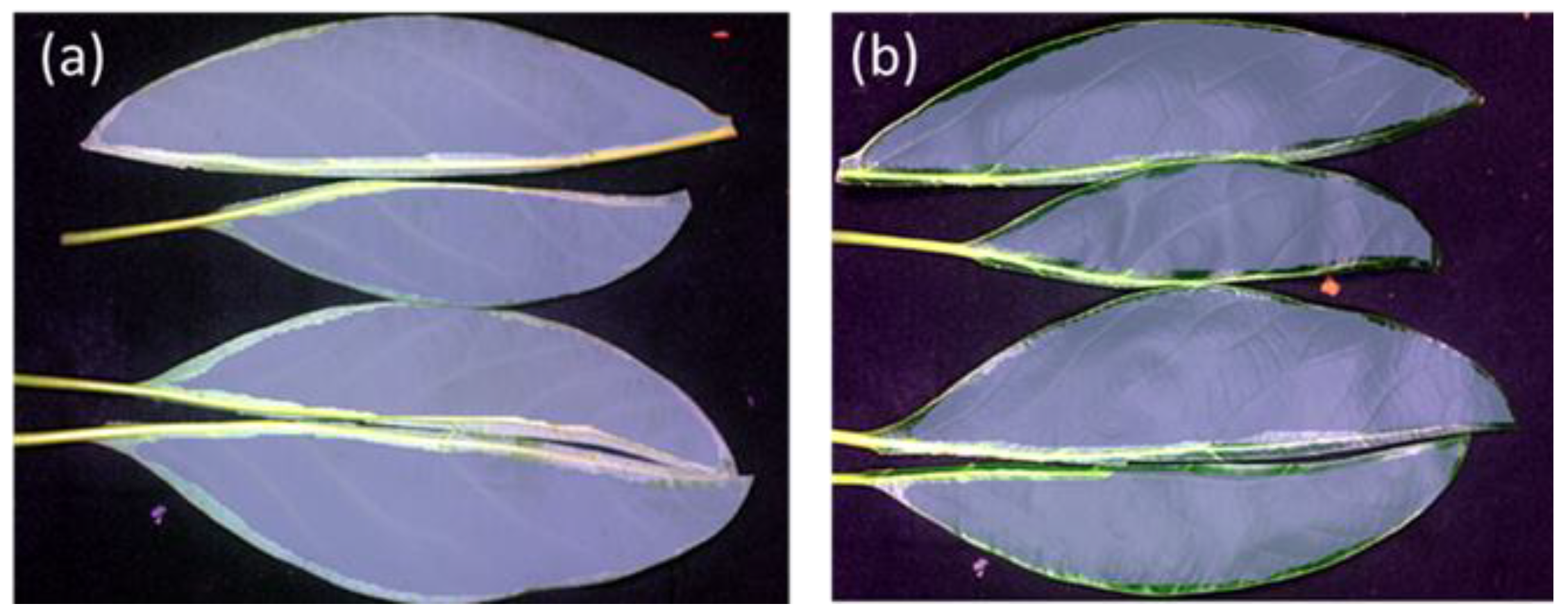 Remotesensing 15 03100 g001 Remotesensing 15 03100 g001