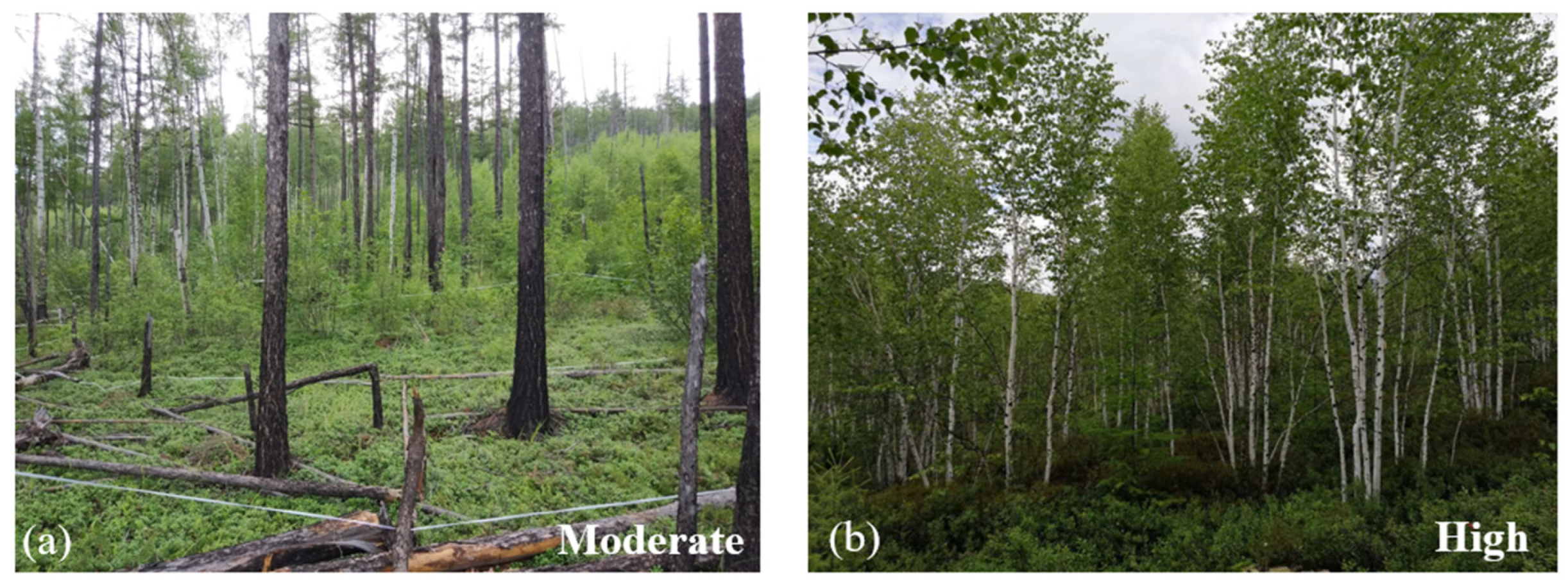 Remotesensing 15 03107 g008 Remotesensing 15 03107 g008