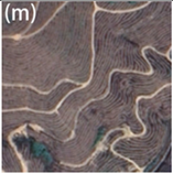 Remotesensing 15 03111 i013