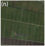 Remotesensing 15 03111 i014