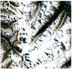 Remotesensing 15 03111 i019