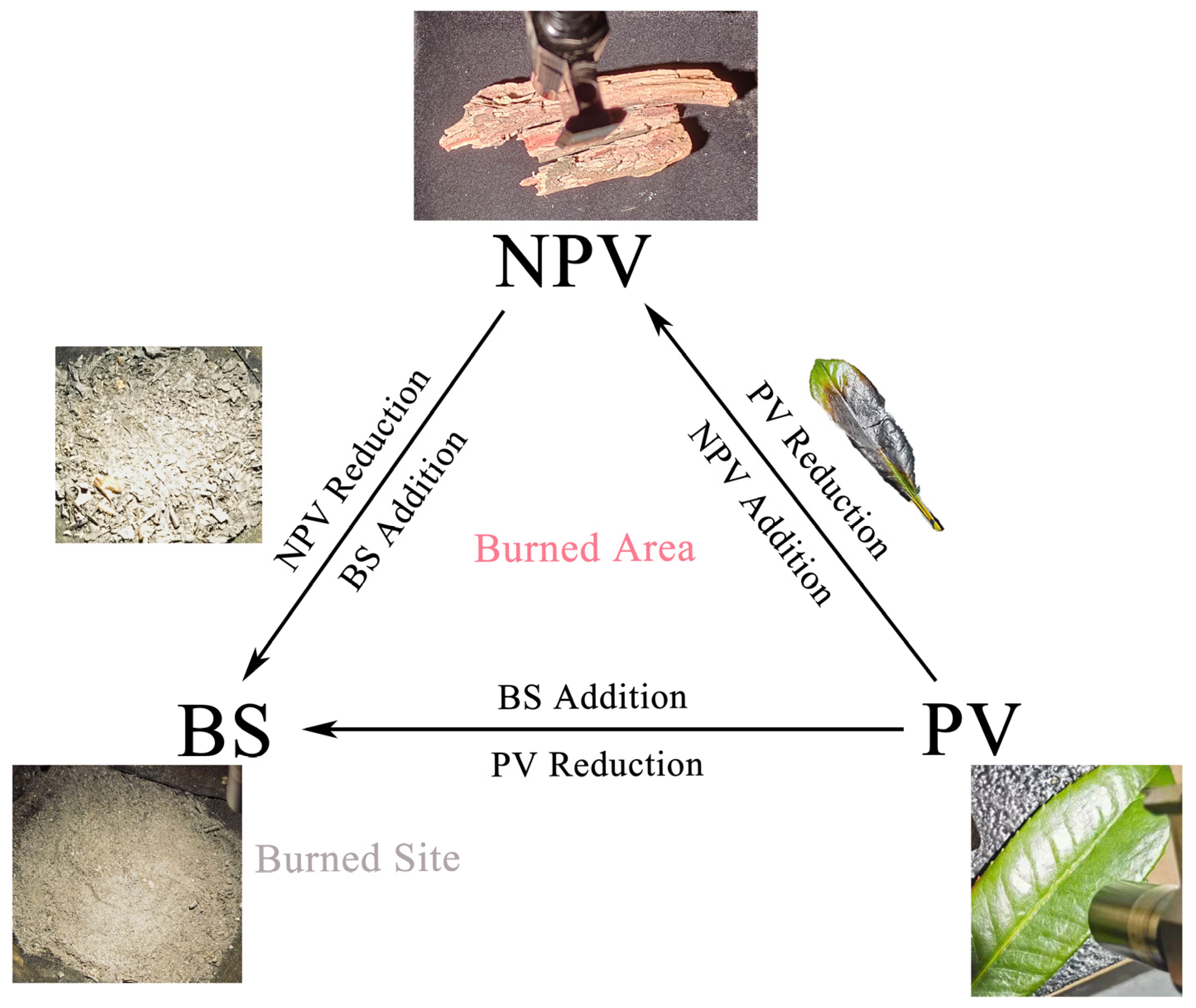 Remotesensing 15 03115 g005 Remotesensing 15 03115 g005