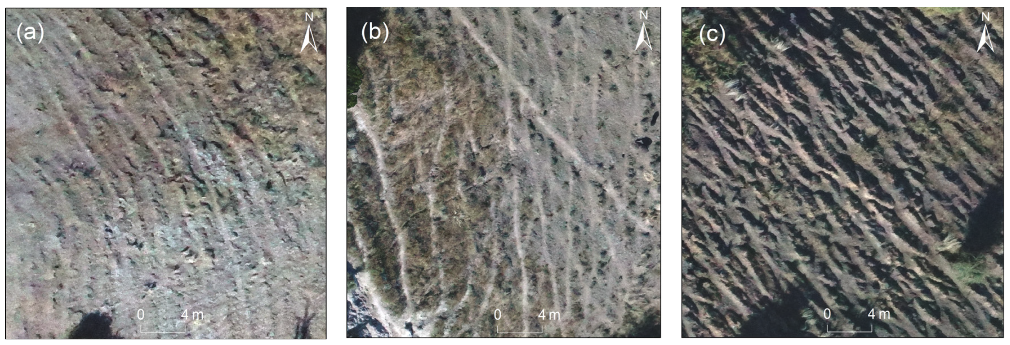 Remotesensing 15 03163 g004