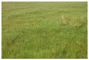 Remotesensing 15 03174 i001