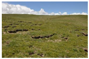 Remotesensing 15 03174 i002