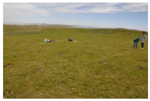 Remotesensing 15 03174 i003