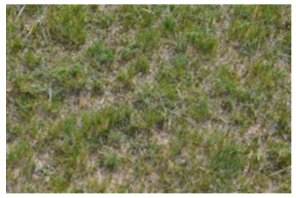 Remotesensing 15 03174 i004