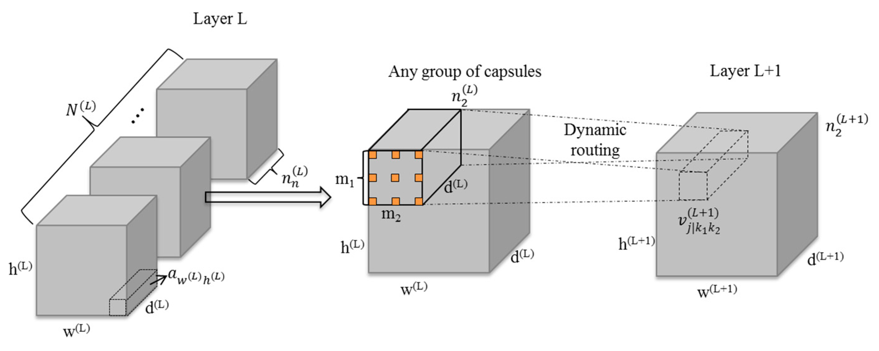 Remote Sensing | Free Full-Text | DCCaps-UNet: A U-Shaped Hyperspectral ...