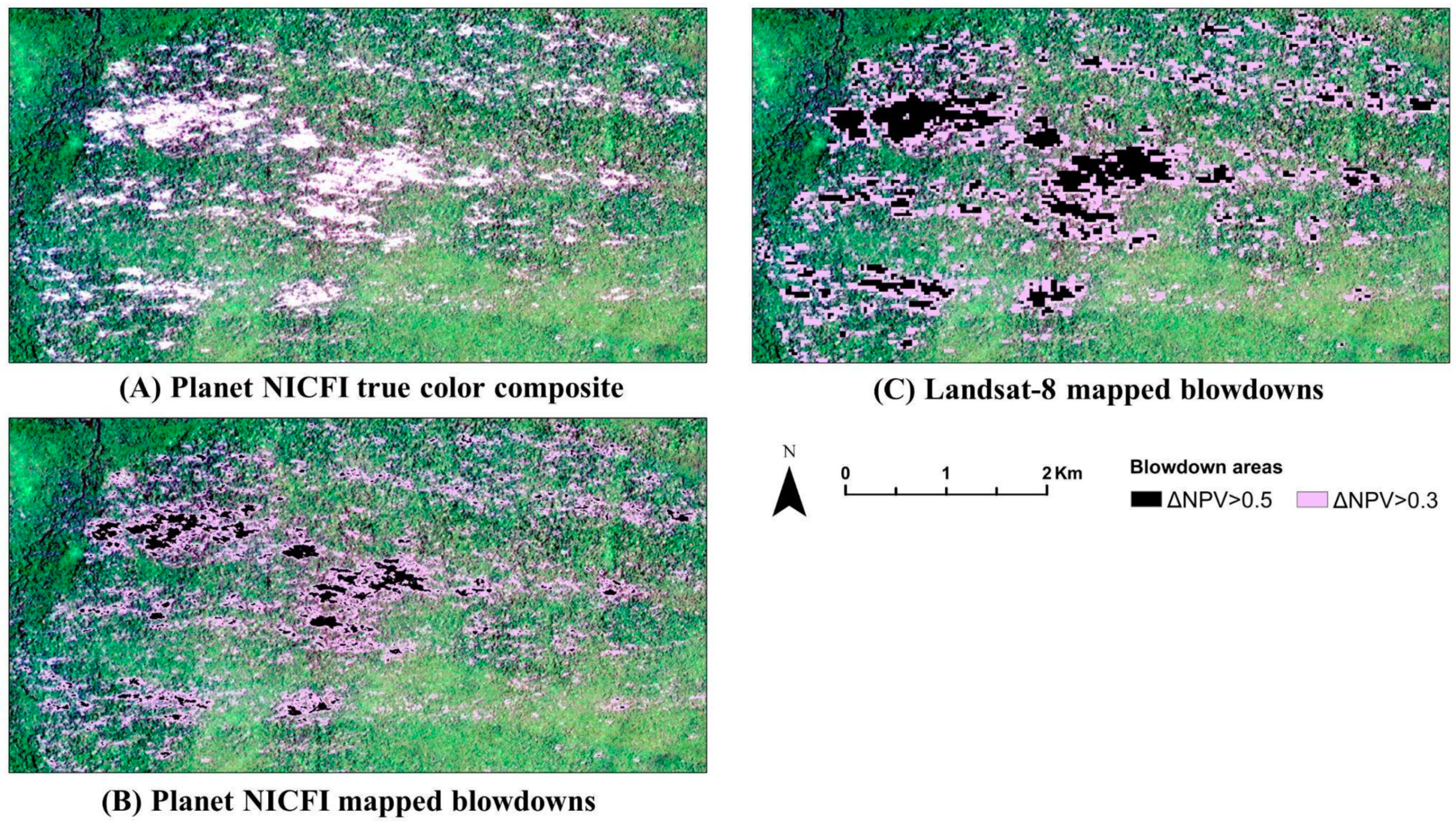 Remotesensing 15 03196 g004