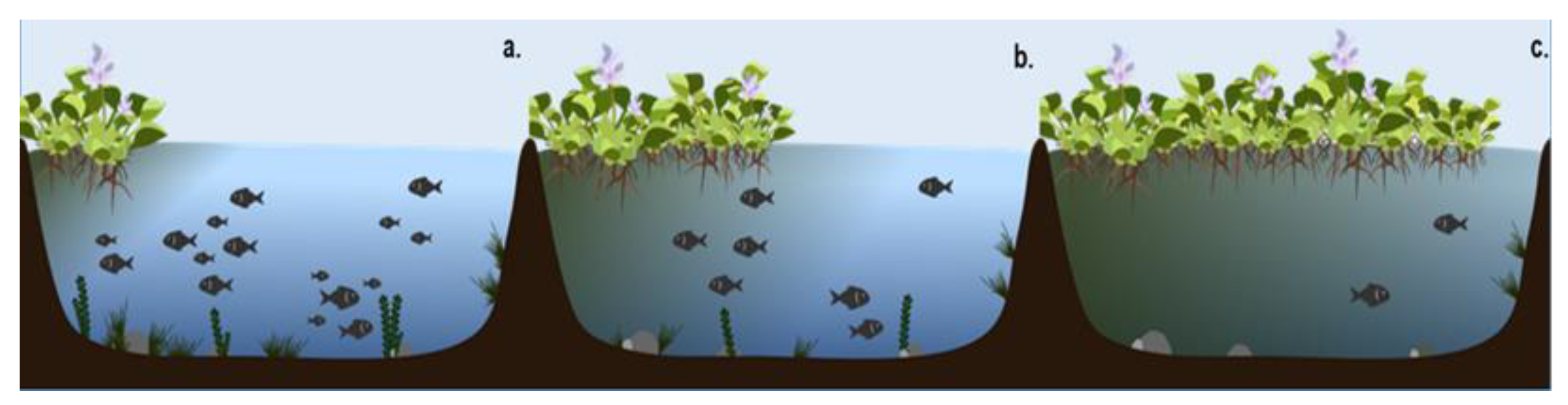 Remotesensing 15 03248 g003 Remotesensing 15 03248 g003