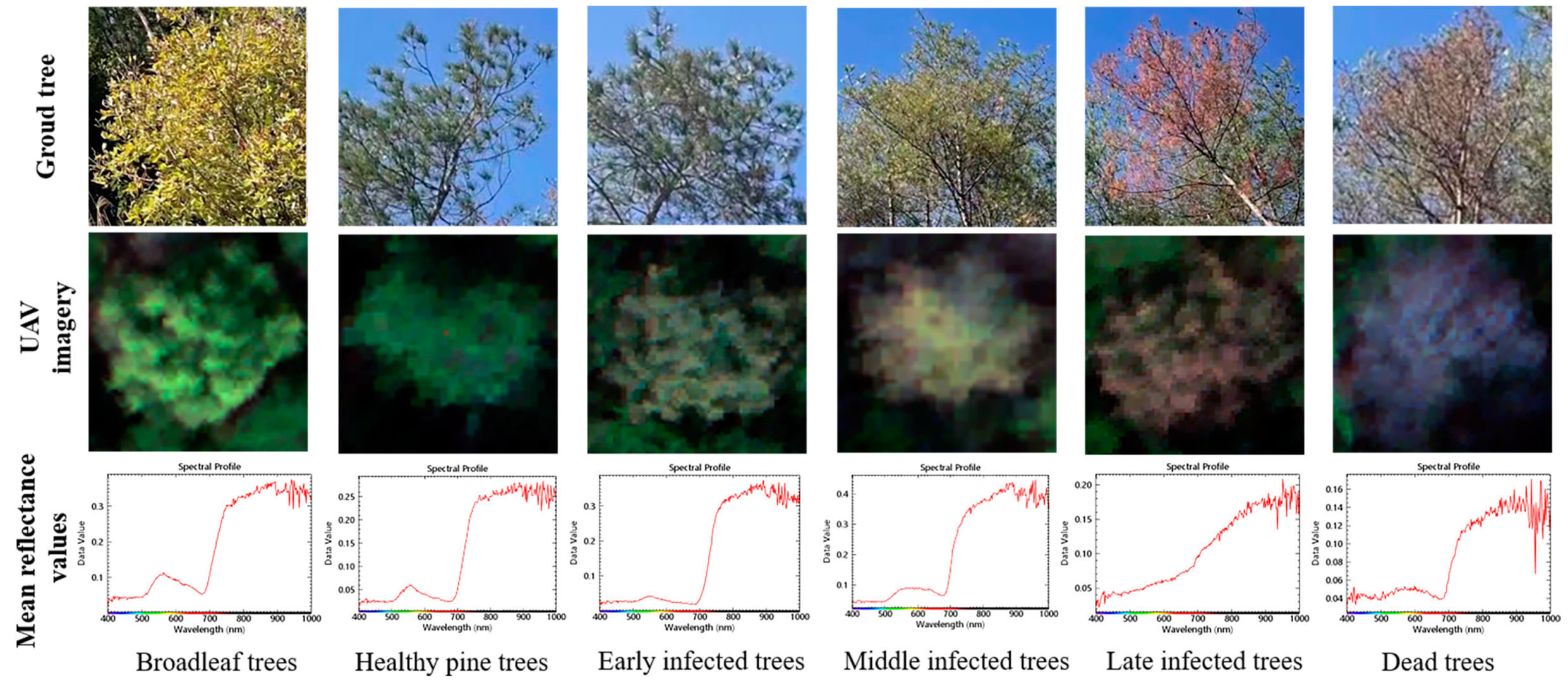 Remotesensing 15 03295 g002 Remotesensing 15 03295 g002