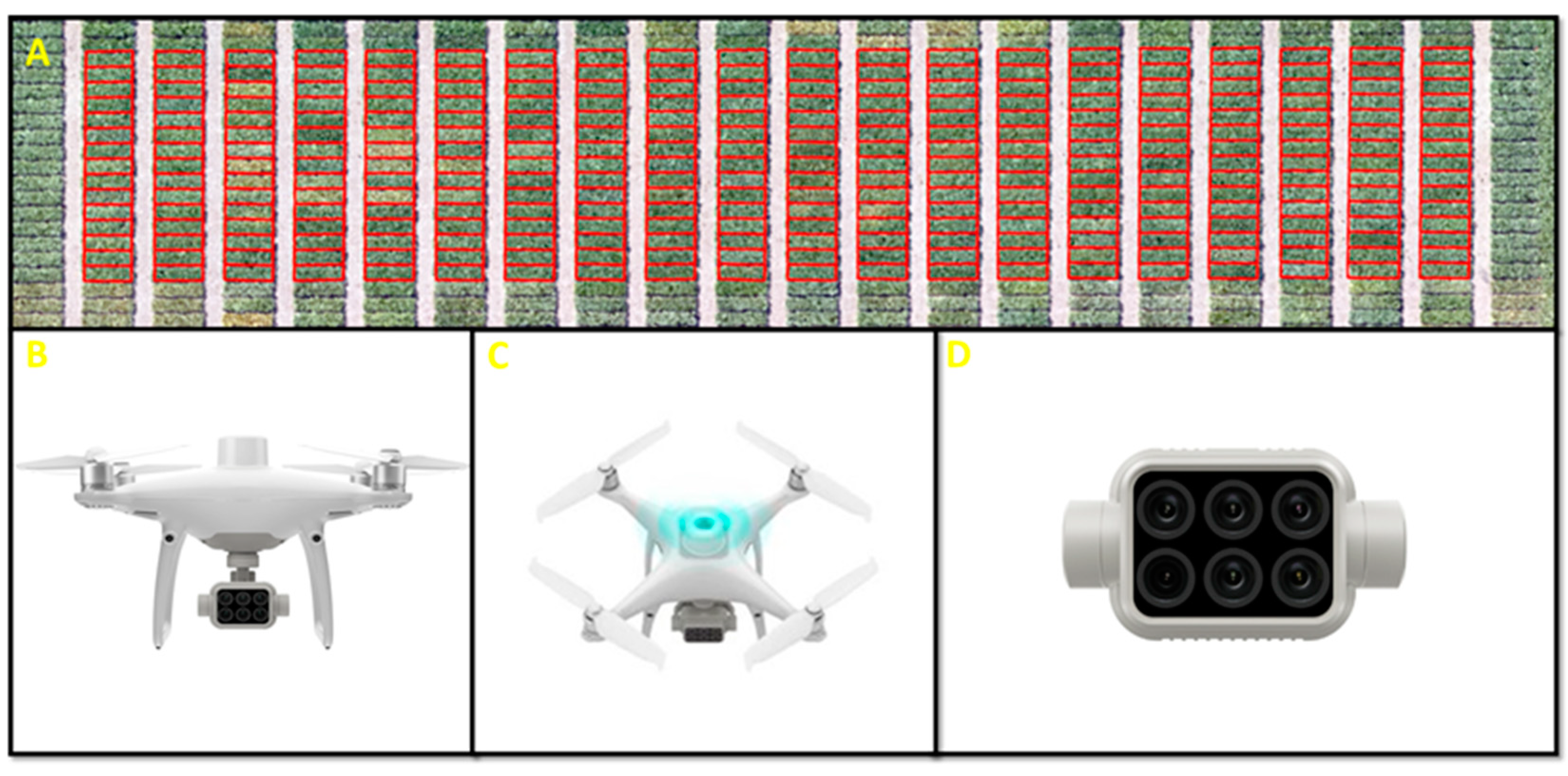Remotesensing 15 03301 g002 Remotesensing 15 03301 g002