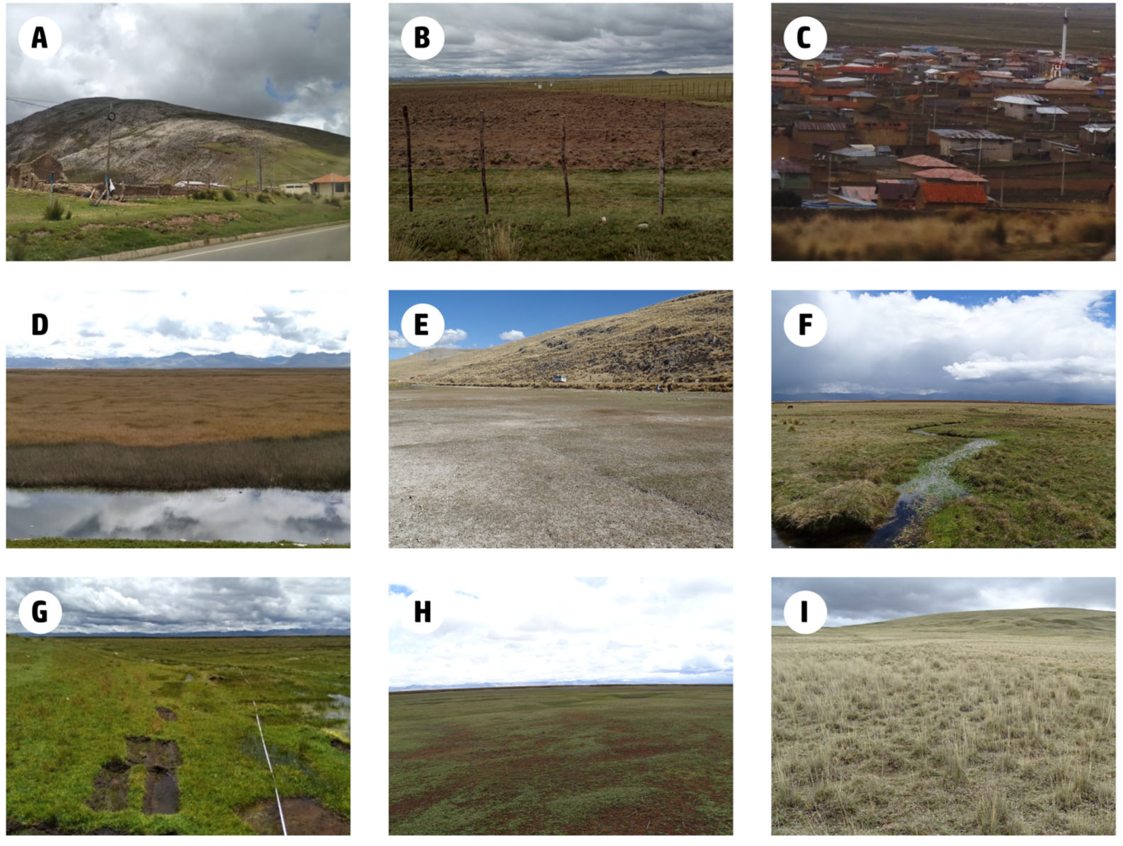 Remotesensing 15 03303 g002