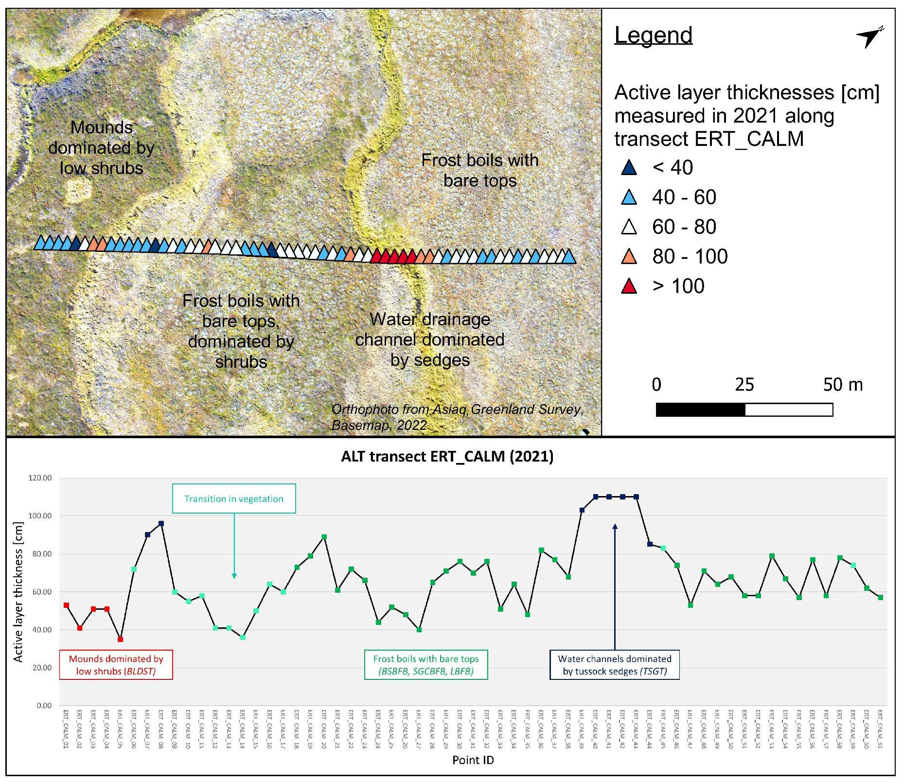 Remotesensing 15 03310 g009