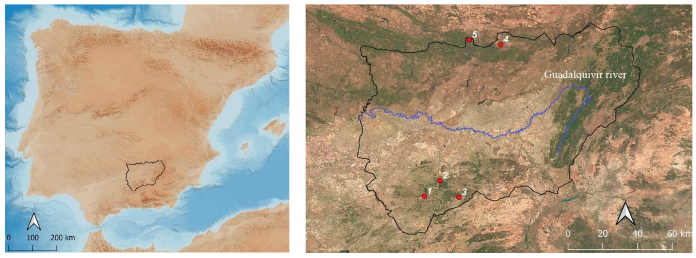 Remotesensing 15 03315 g001