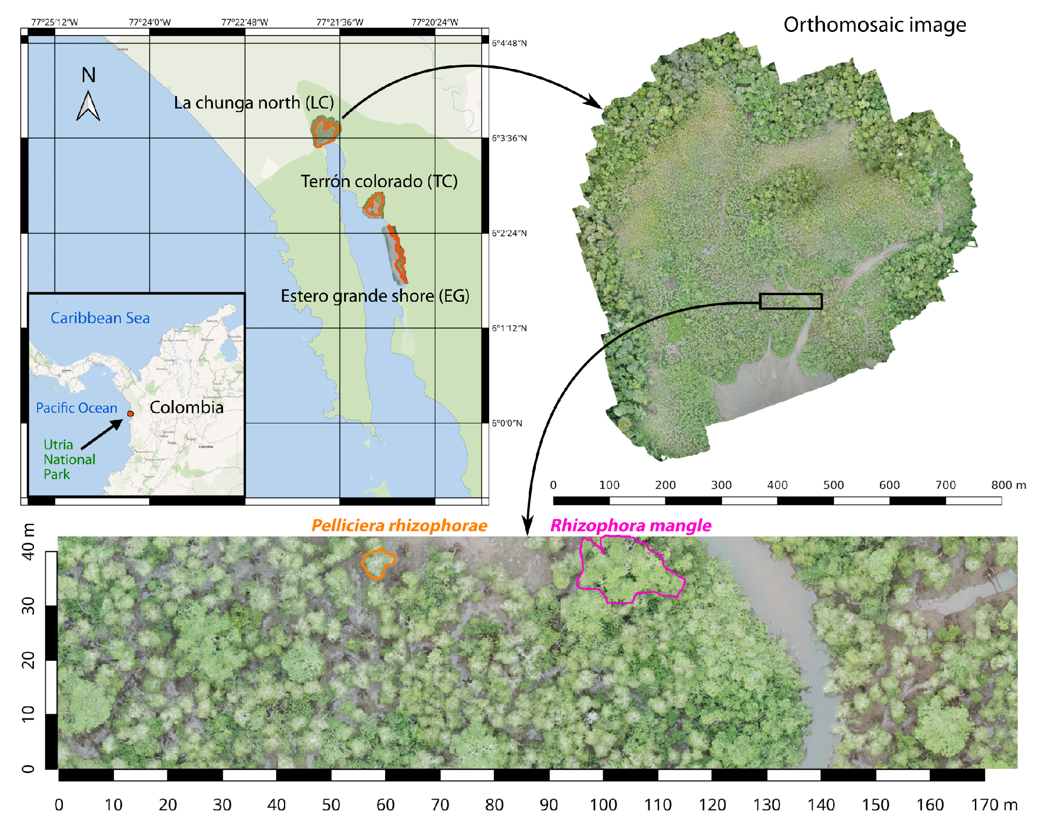 Remotesensing 15 03334 g002