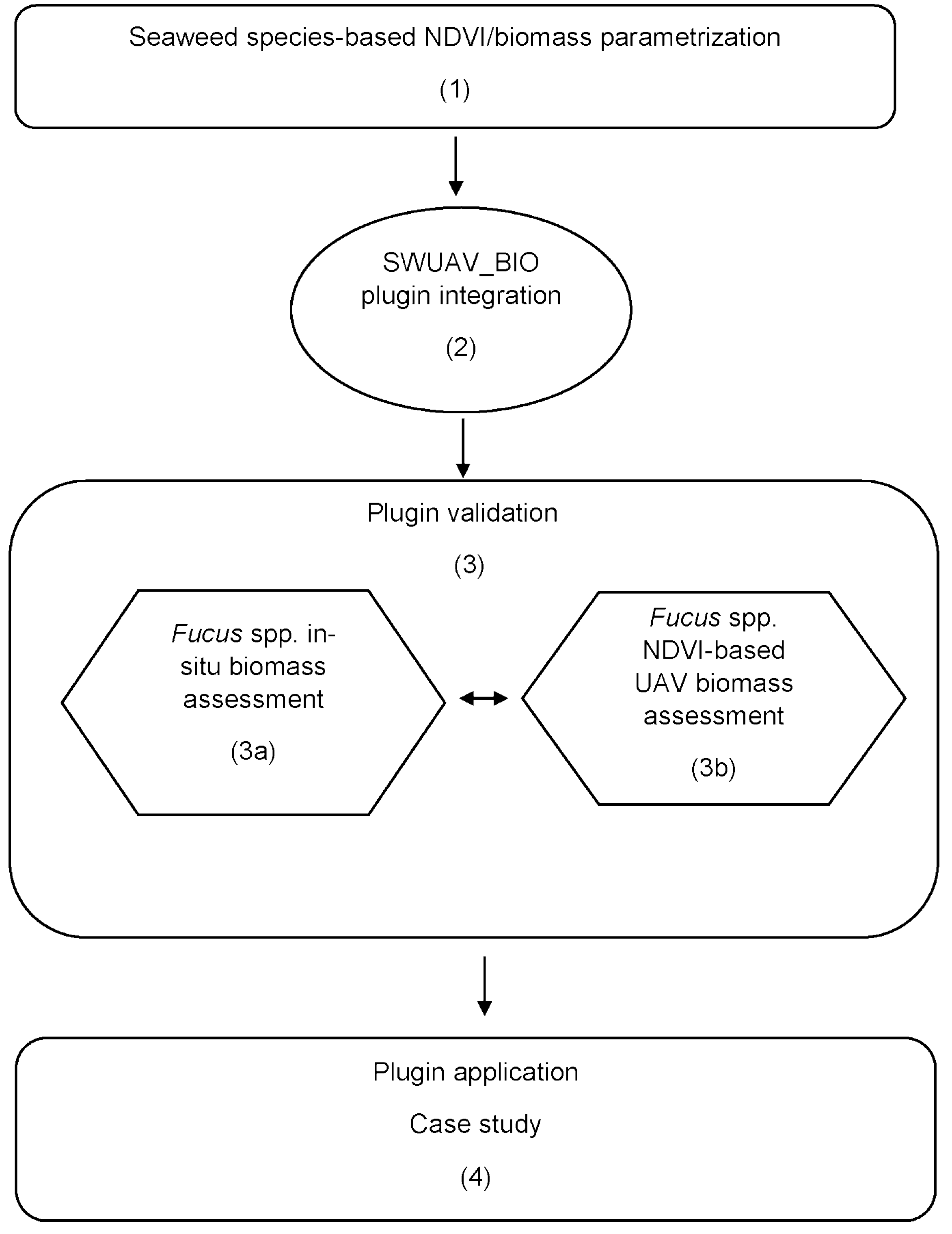 Remotesensing 15 03359 g001 Remotesensing 15 03359 g001