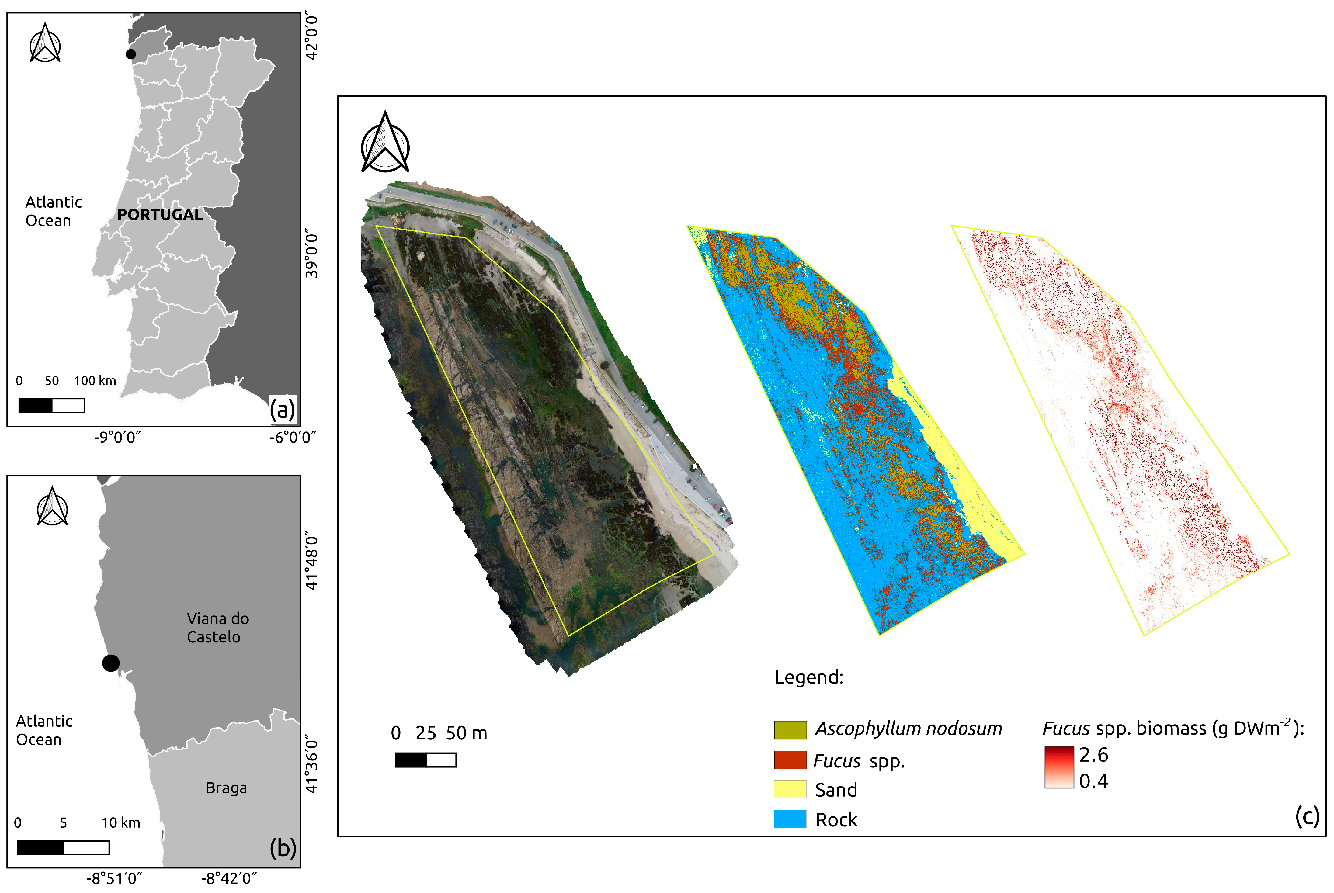 Remotesensing 15 03359 g006 Remotesensing 15 03359 g006