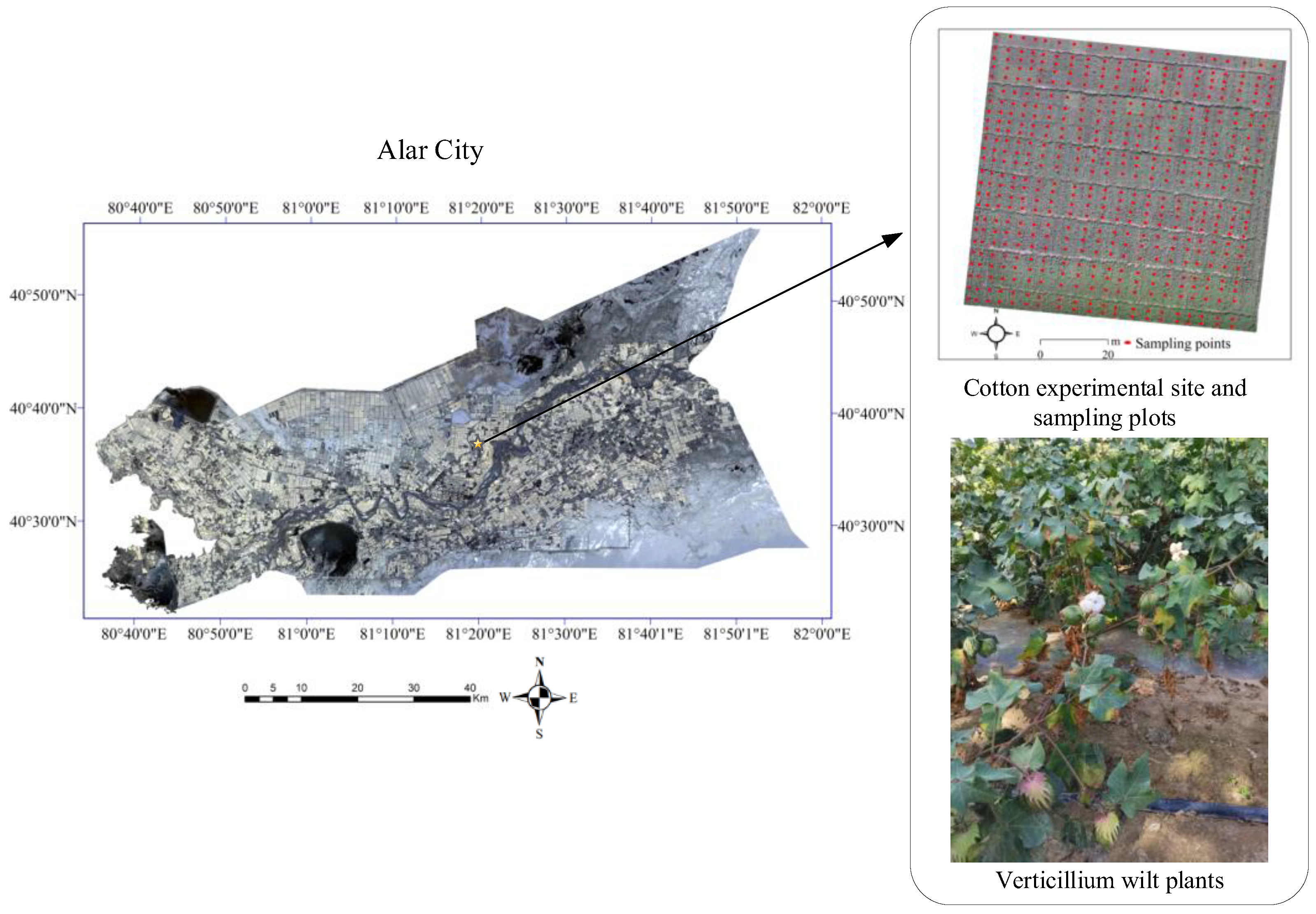 Remotesensing 15 03373 g001 Remotesensing 15 03373 g001