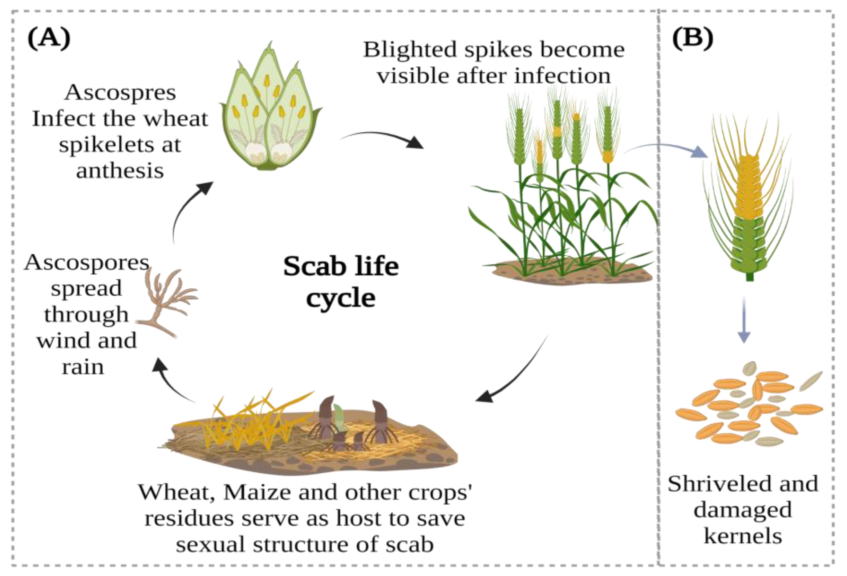 Remotesensing 15 03431 g001