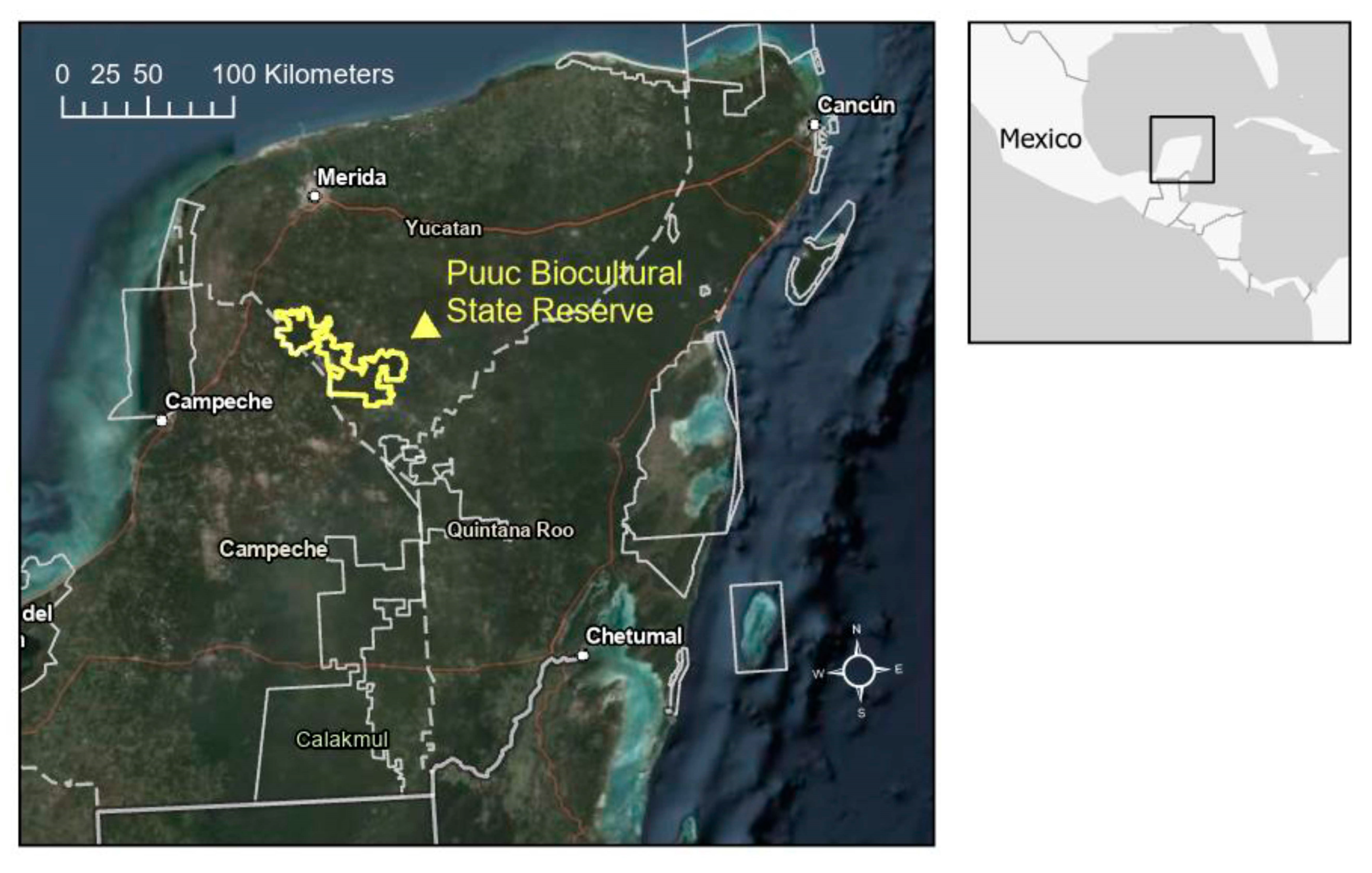 Remotesensing 15 03445 g001