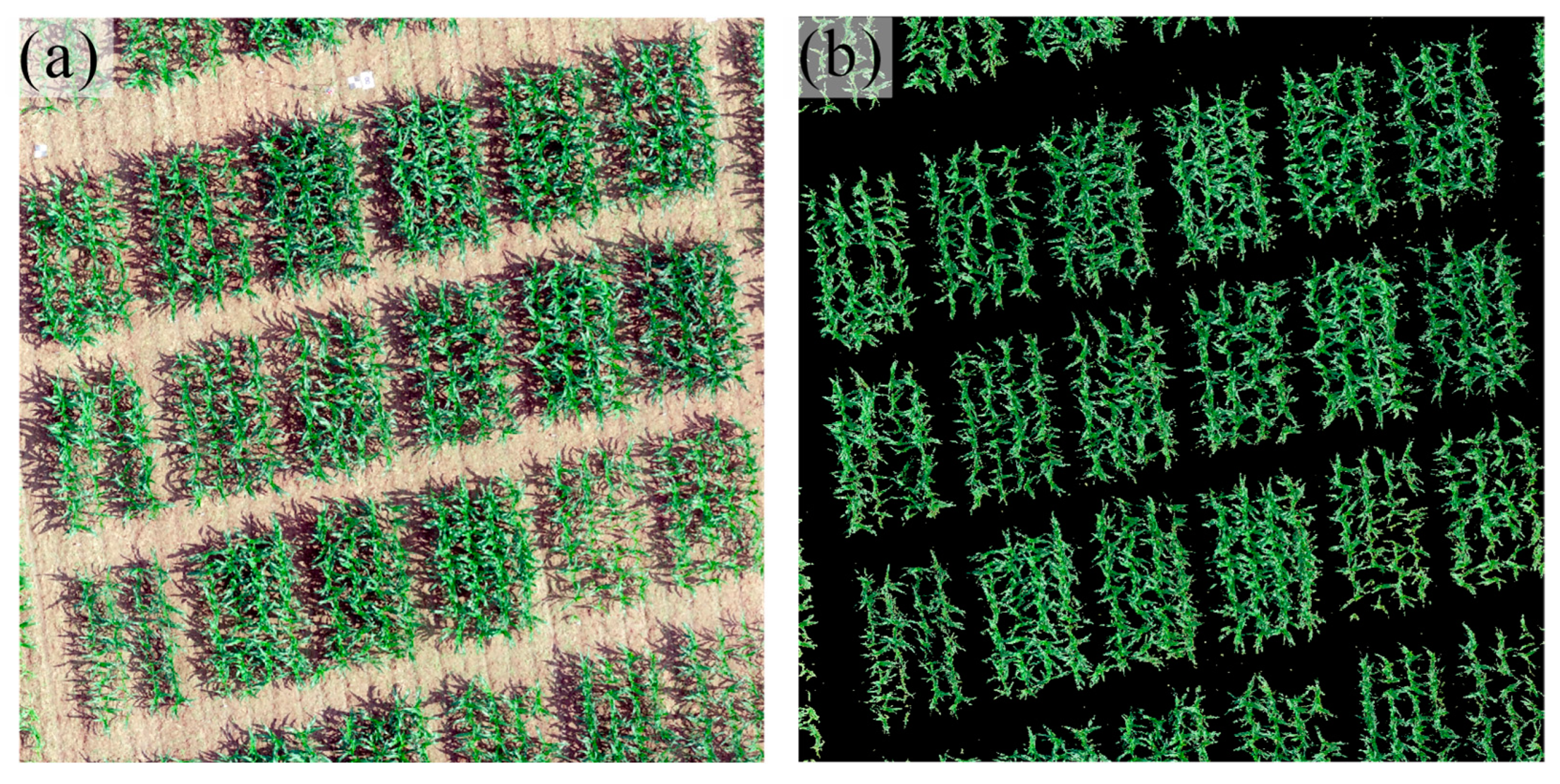 Remotesensing 15 03454 g005