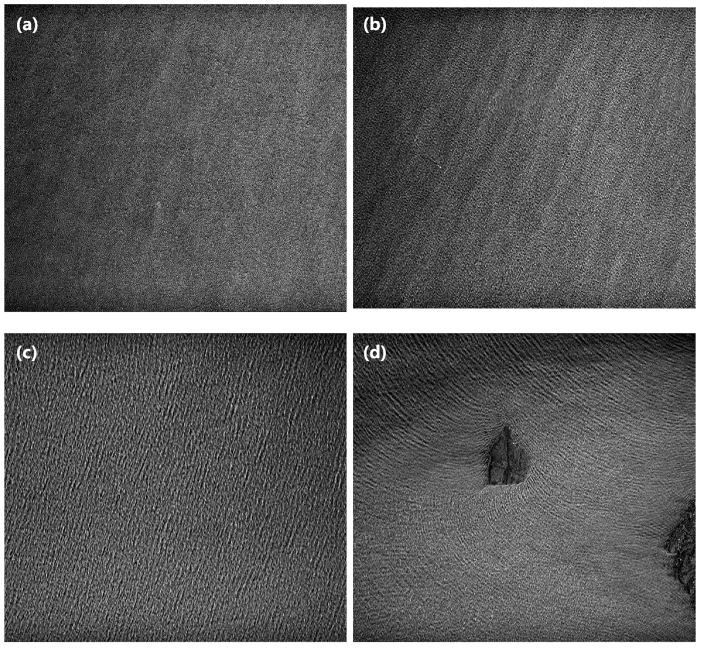 Remotesensing 15 03486 g003 Remotesensing 15 03486 g003