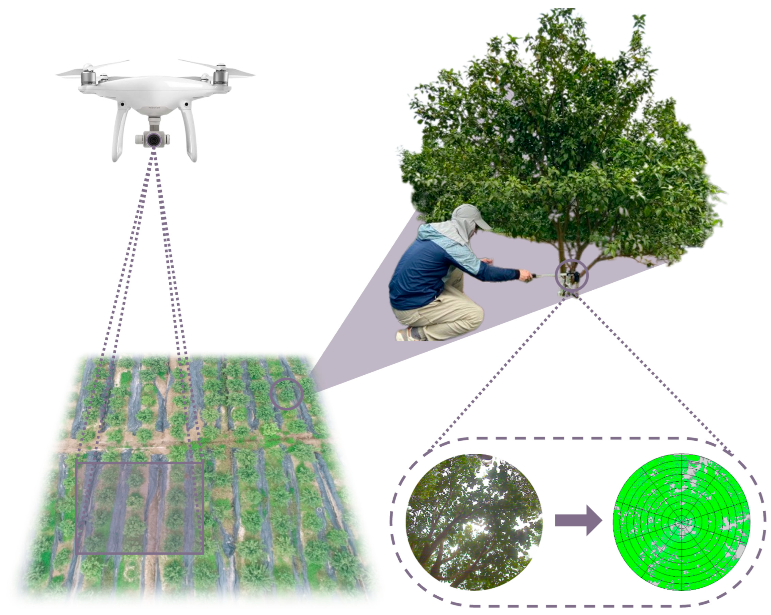 Remotesensing 15 03523 g002