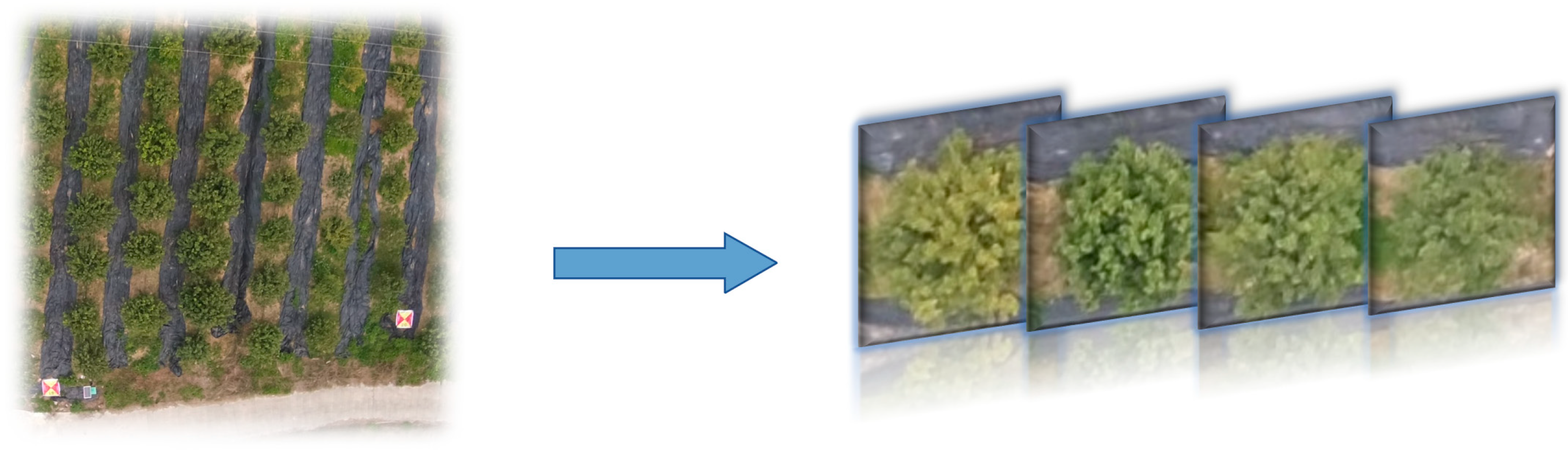 Remotesensing 15 03523 g004