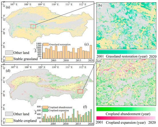 Dynamic Vegetation Responses to Climate and Land Use Changes