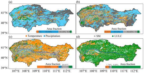 Dynamic Vegetation Responses to Climate and Land Use Changes