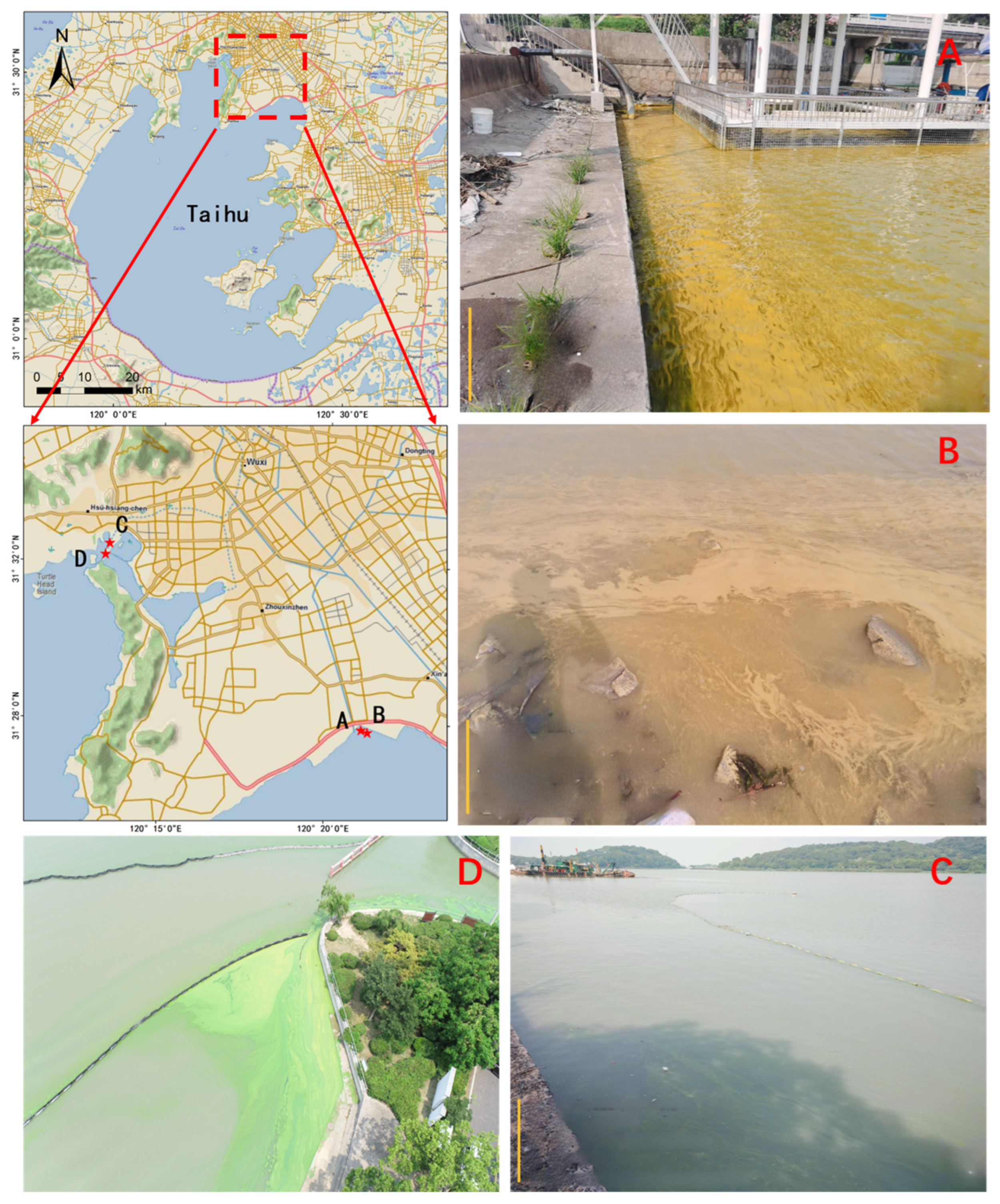Remotesensing 15 03541 g002