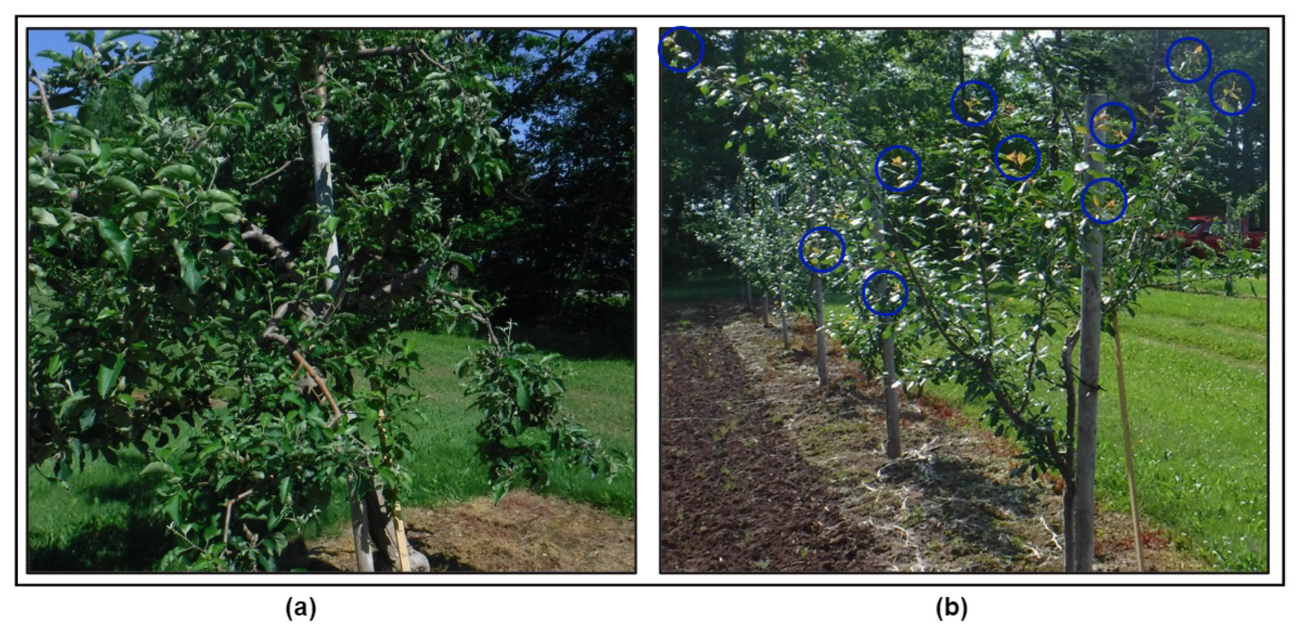 Remotesensing 15 03558 g002