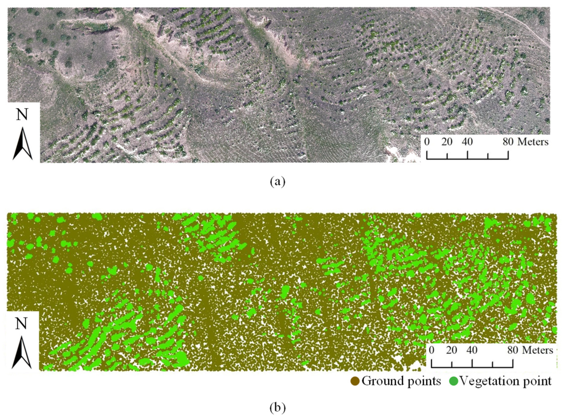 Remotesensing 15 03569 g006