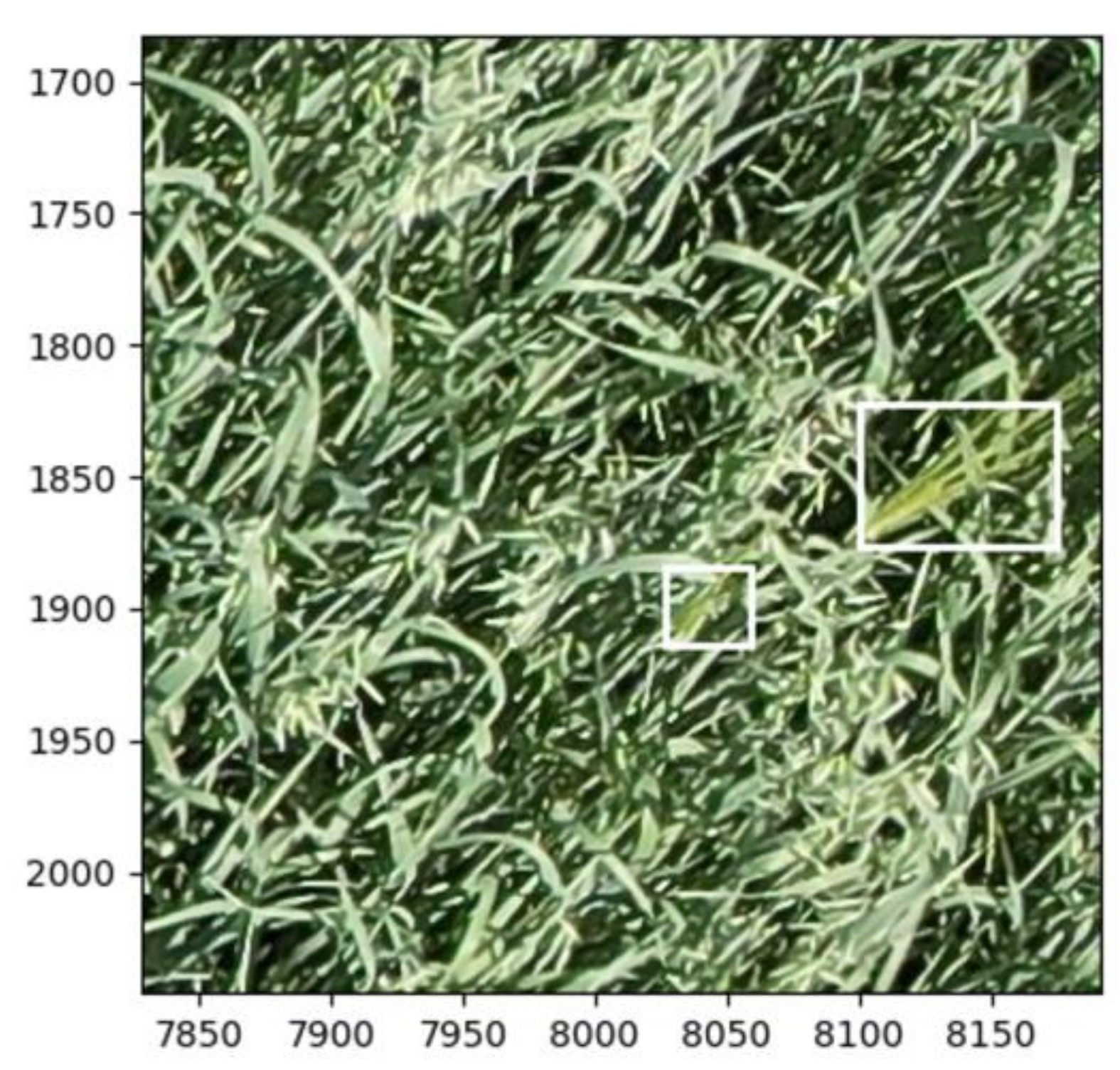 Remotesensing 15 03582 g006 Remotesensing 15 03582 g006