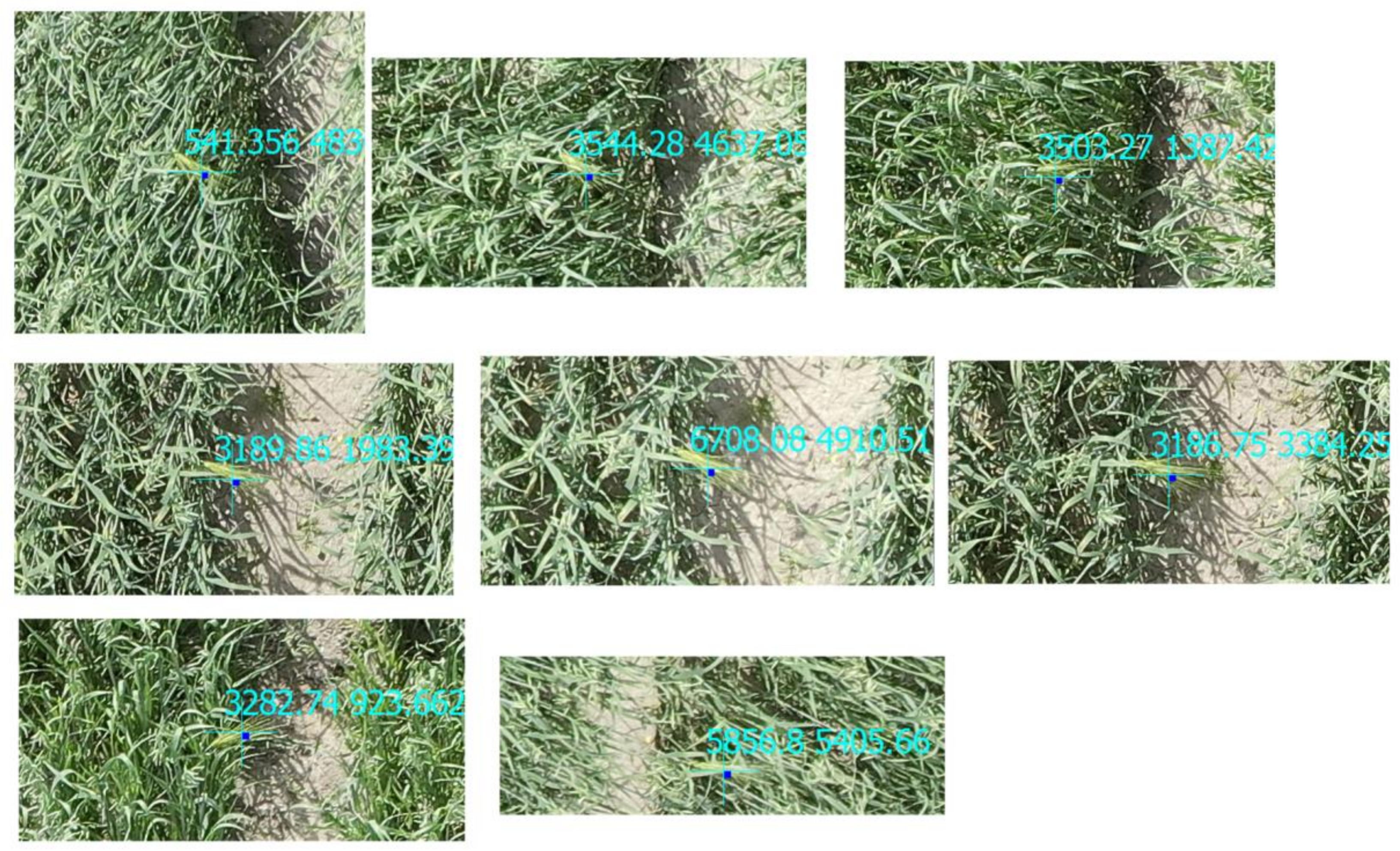 Remotesensing 15 03582 g008 Remotesensing 15 03582 g008