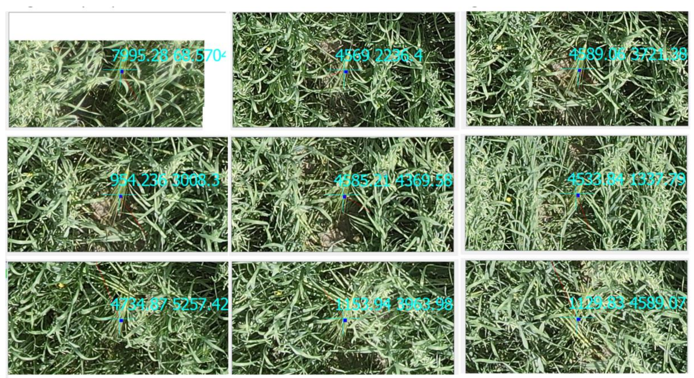 Remotesensing 15 03582 g009 Remotesensing 15 03582 g009