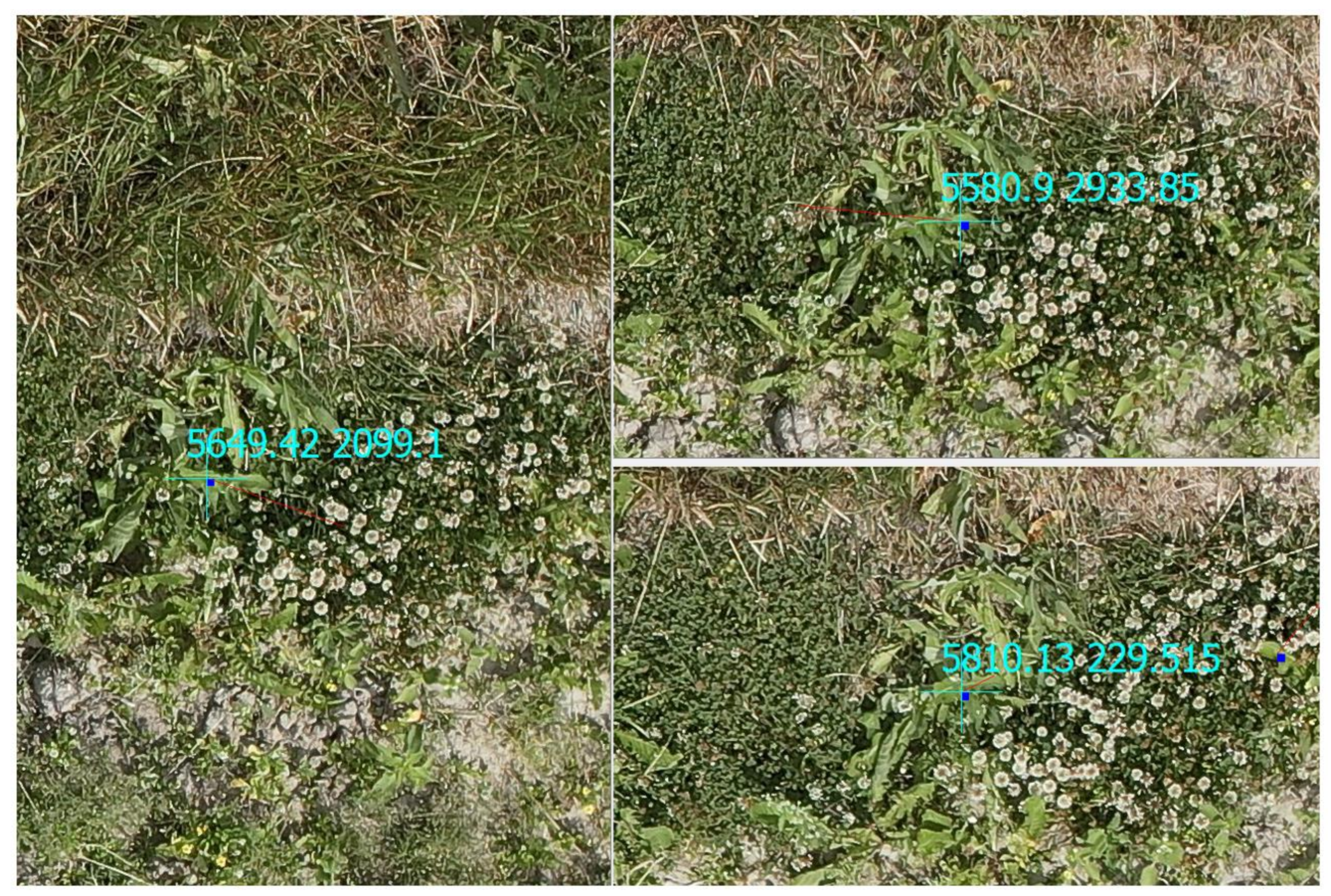 Remotesensing 15 03582 g010 Remotesensing 15 03582 g010