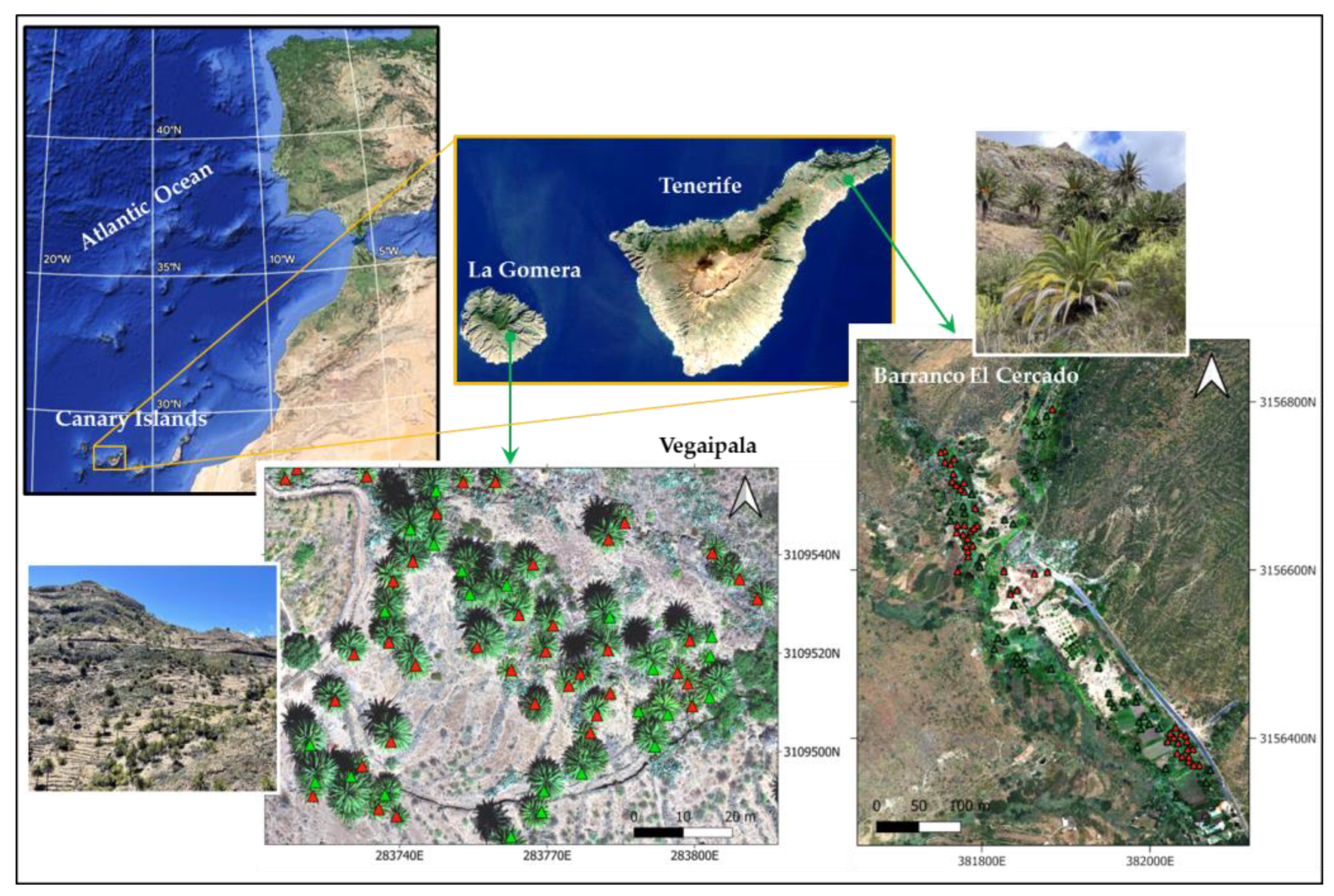 Remotesensing 15 03584 g002